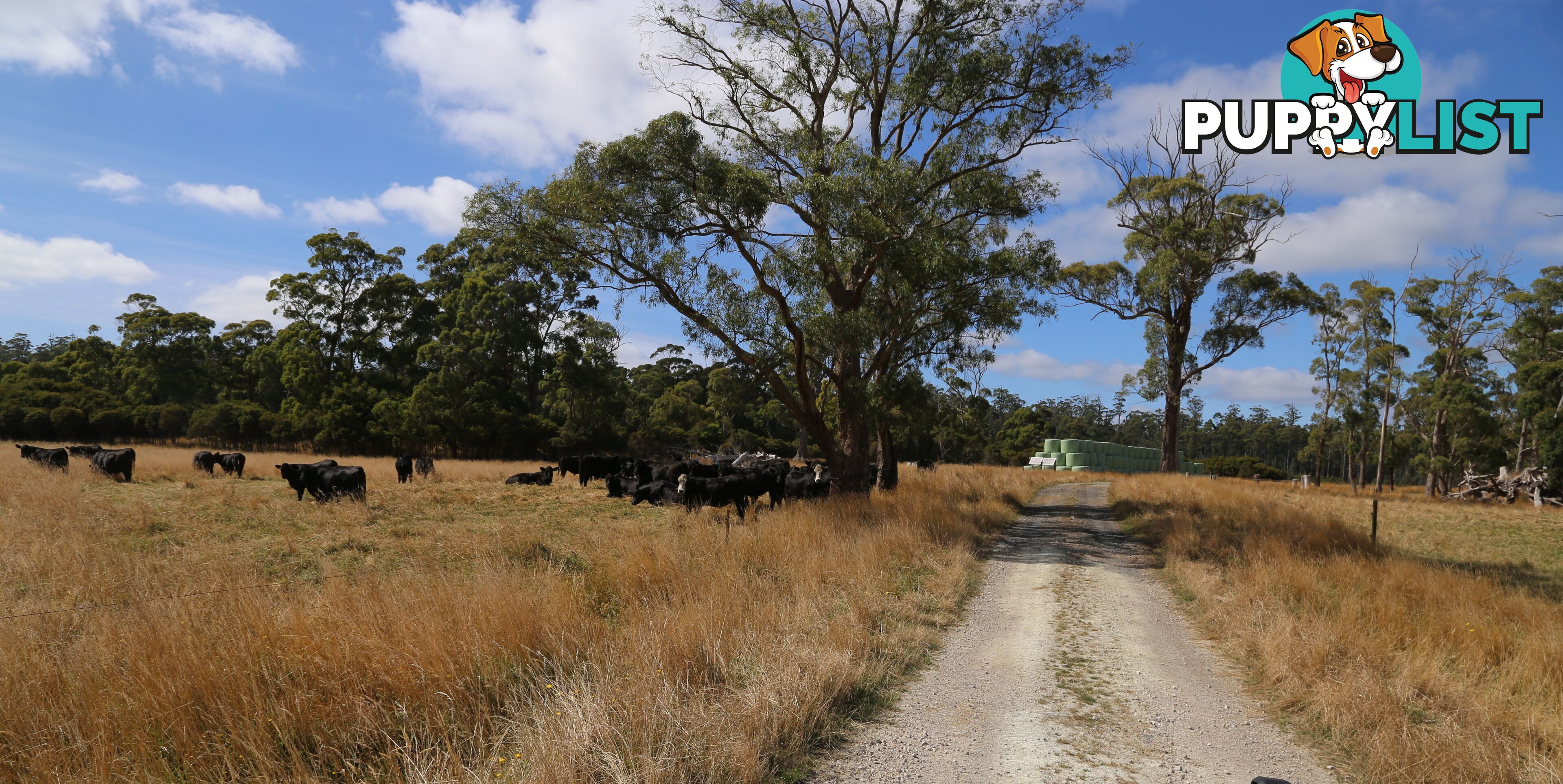 Wedge Plains Road LILEAH TAS 7330