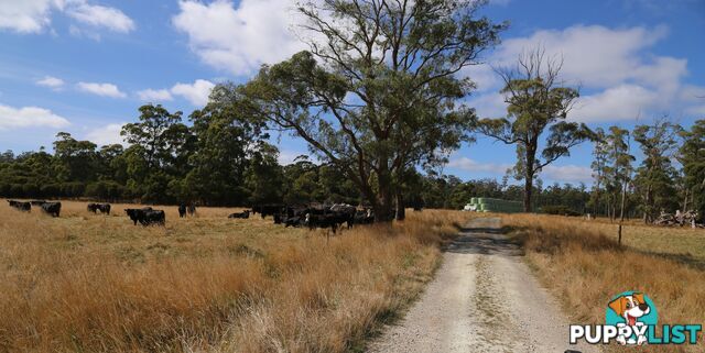 Wedge Plains Road LILEAH TAS 7330