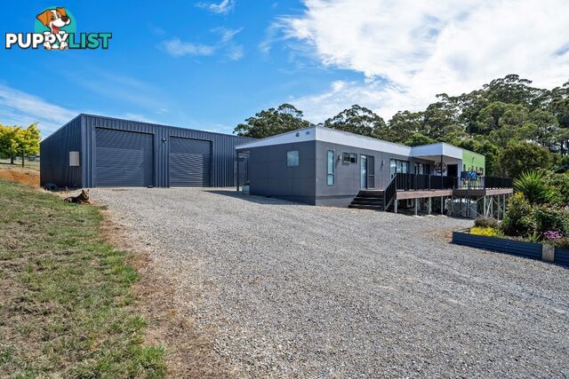 22 Nitida Drive SCOTCHTOWN TAS 7330