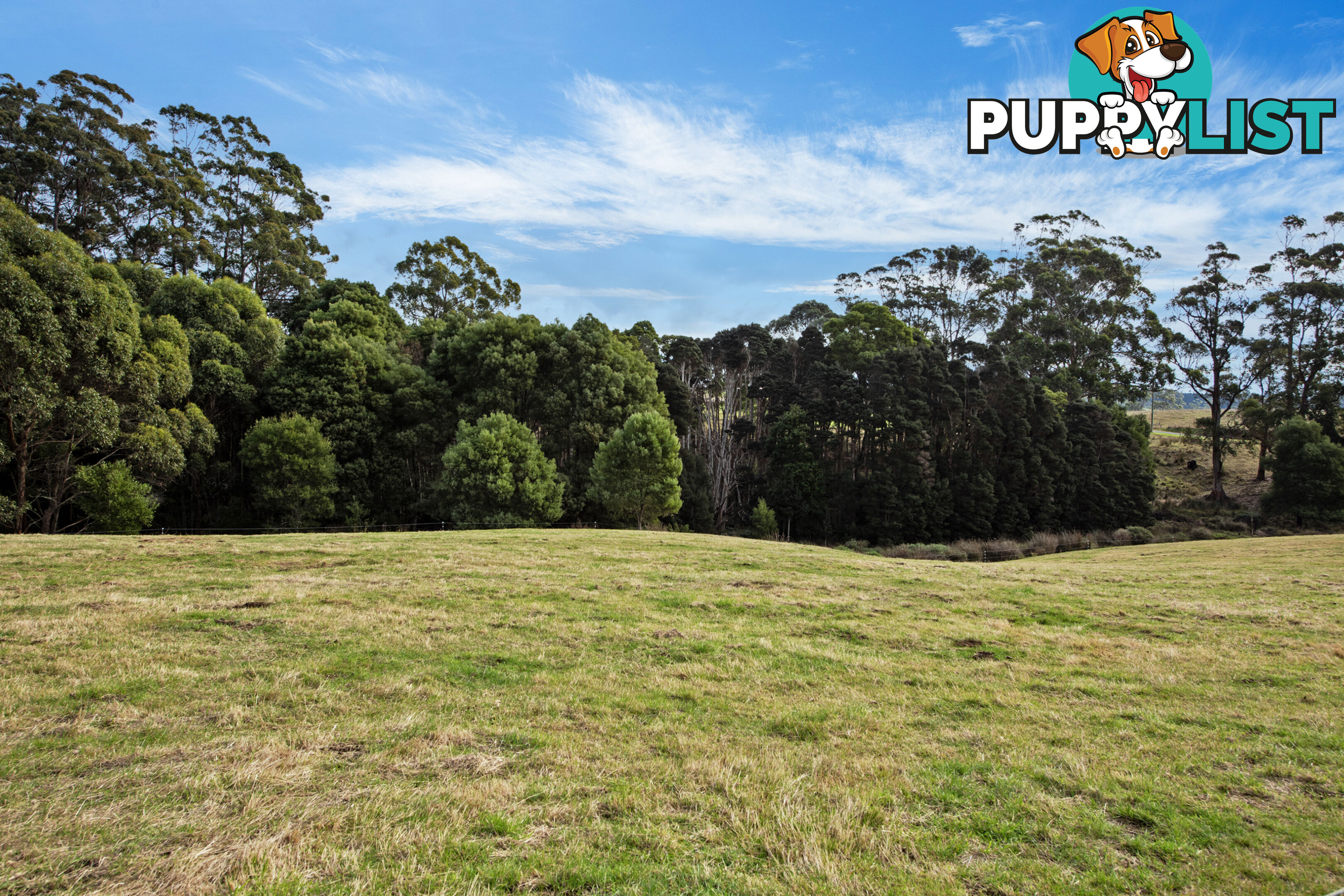 20 Nitida Drive SCOTCHTOWN TAS 7330