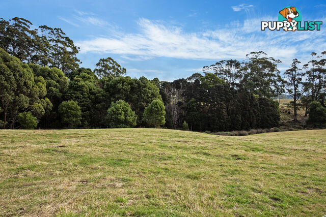 20 Nitida Drive SCOTCHTOWN TAS 7330