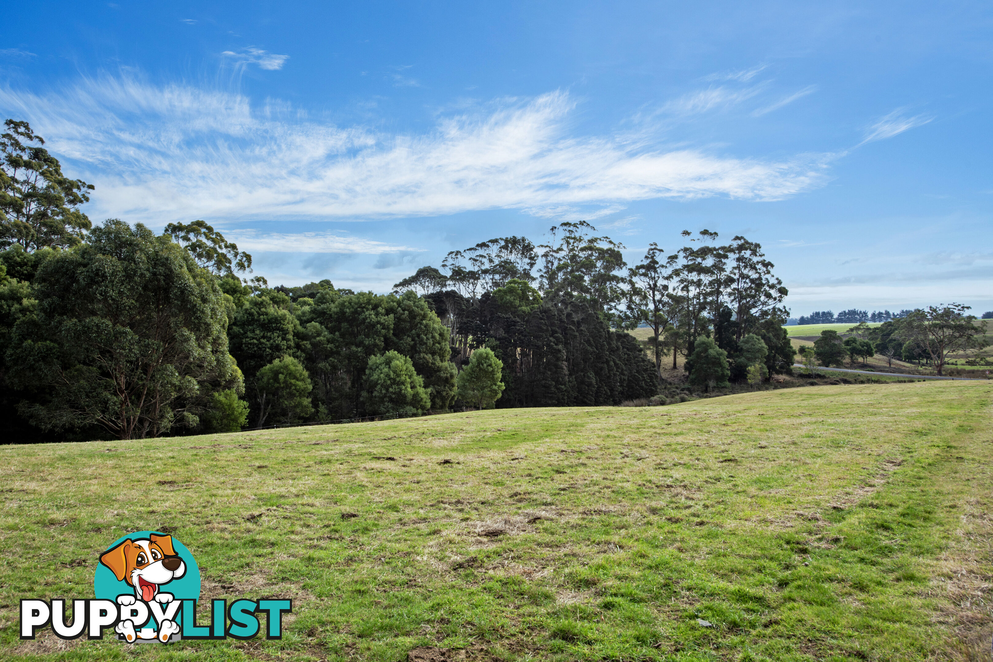 20 Nitida Drive SCOTCHTOWN TAS 7330