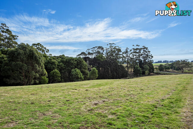 20 Nitida Drive SCOTCHTOWN TAS 7330
