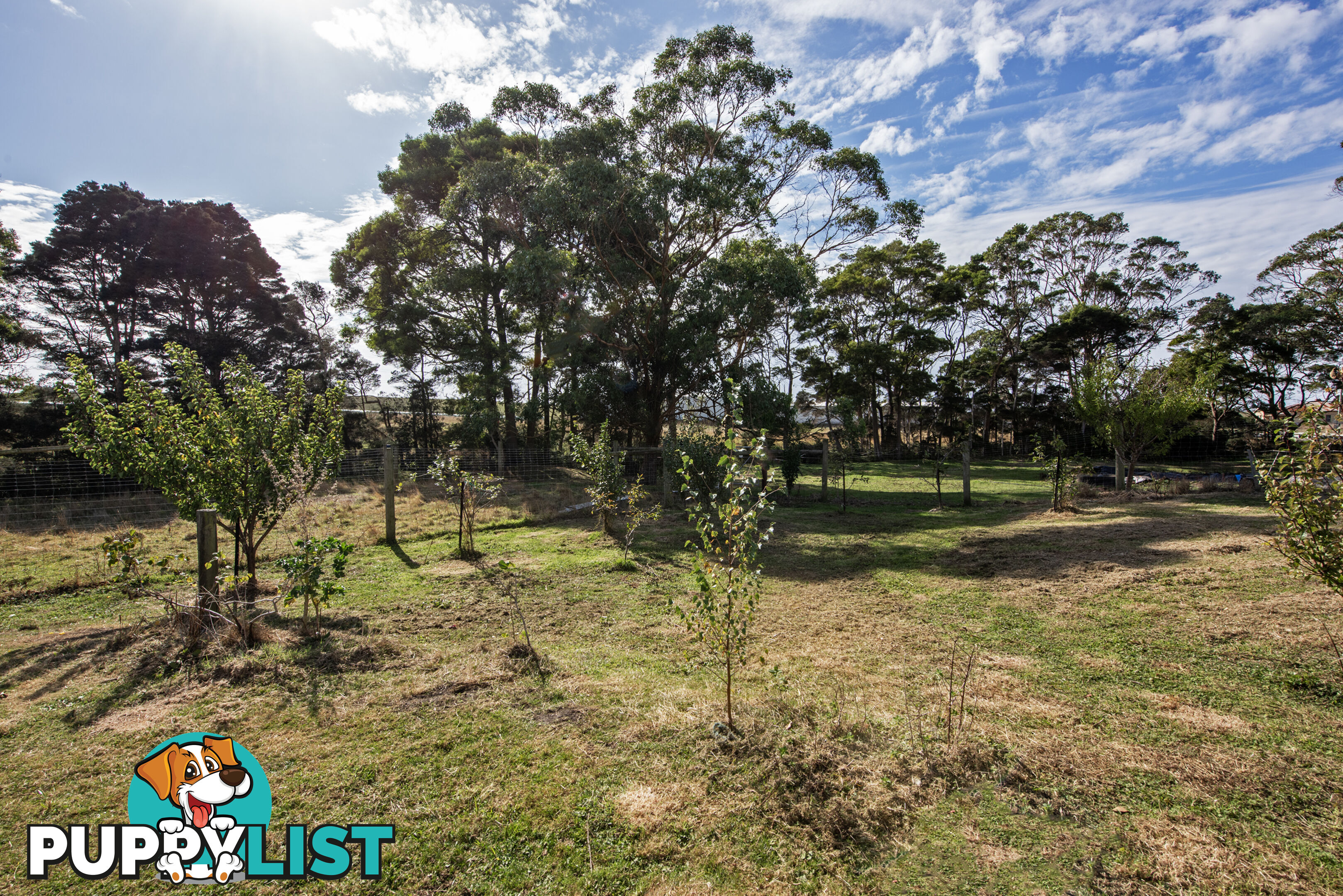 211 Back Line Road FOREST TAS 7330