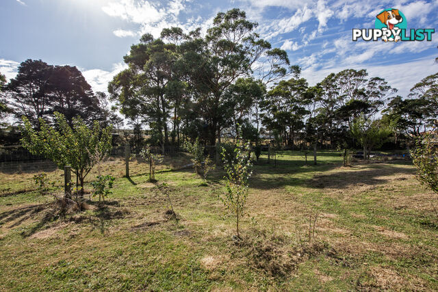 211 Back Line Road FOREST TAS 7330