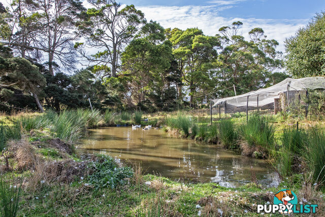 211 Back Line Road FOREST TAS 7330