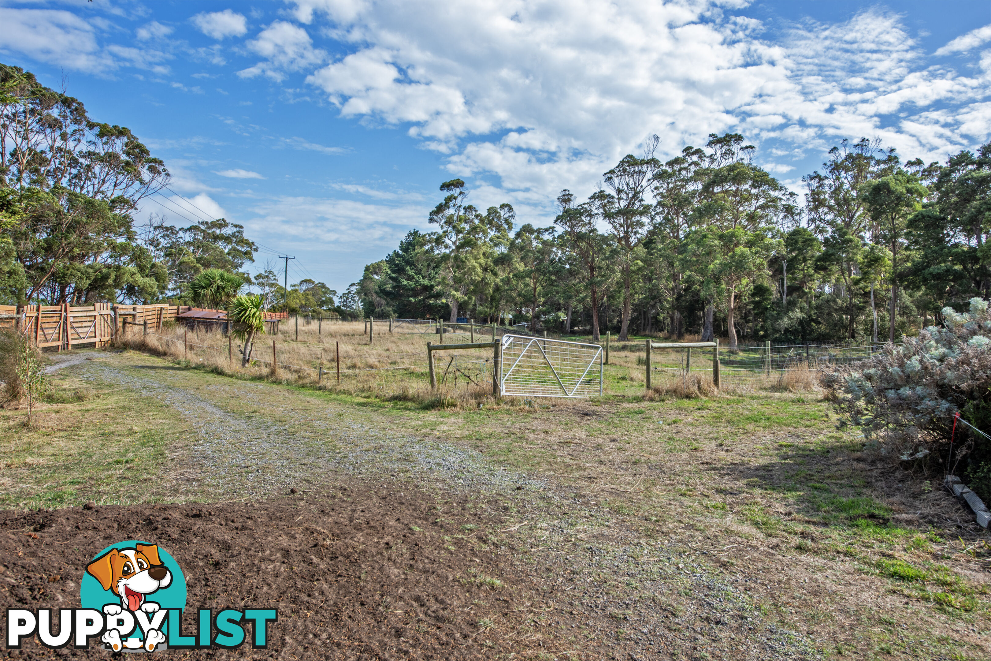 211 Back Line Road FOREST TAS 7330
