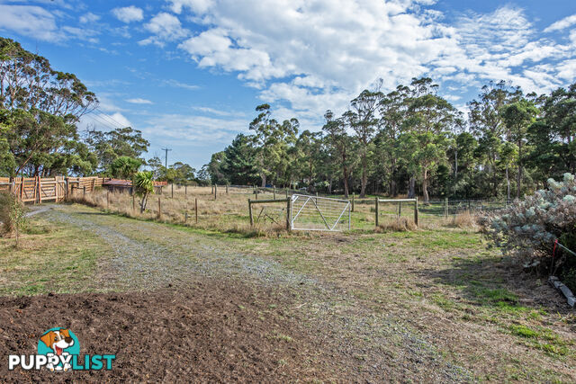 211 Back Line Road FOREST TAS 7330