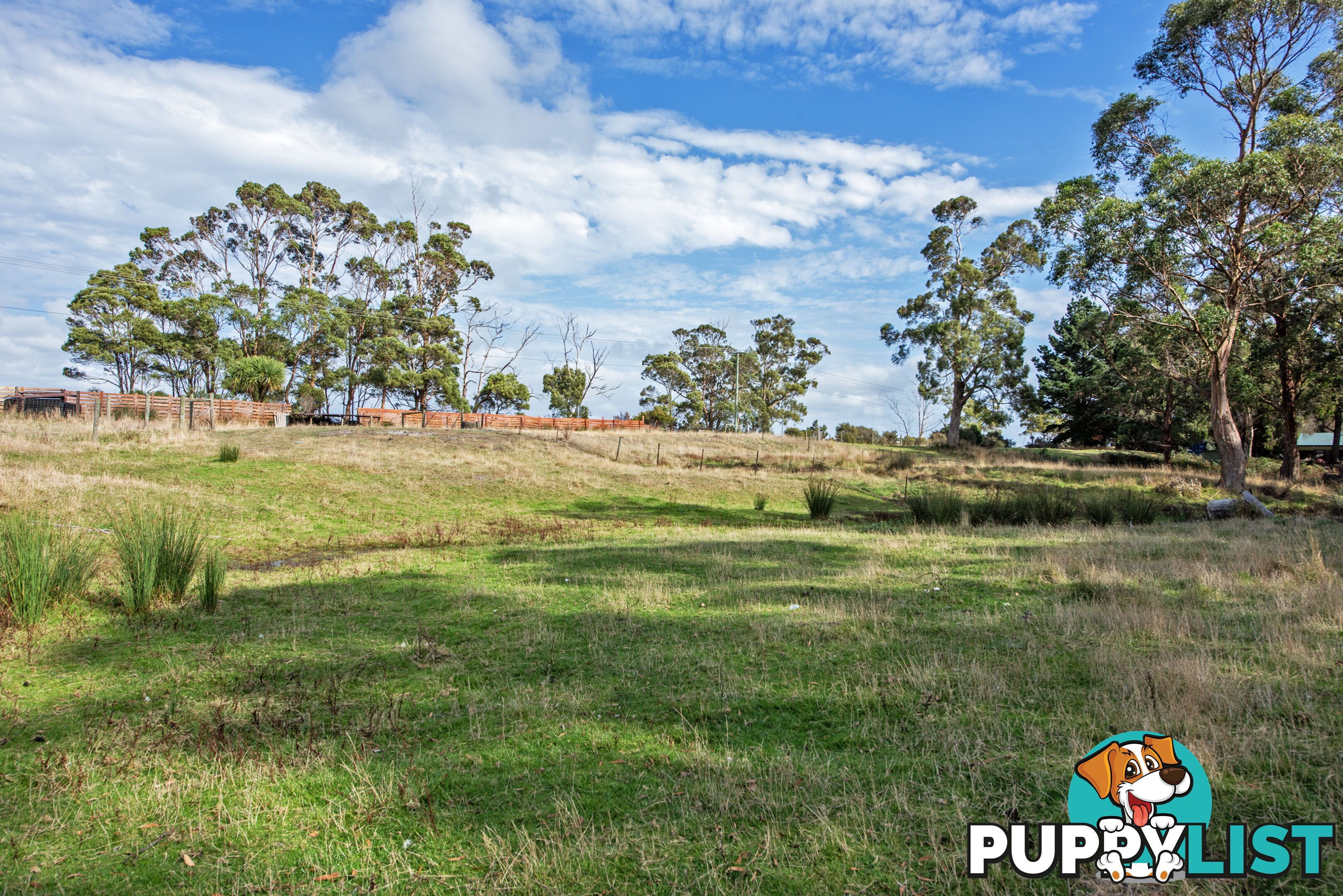 211 Back Line Road FOREST TAS 7330
