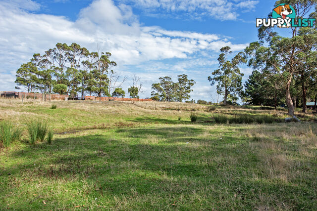 211 Back Line Road FOREST TAS 7330