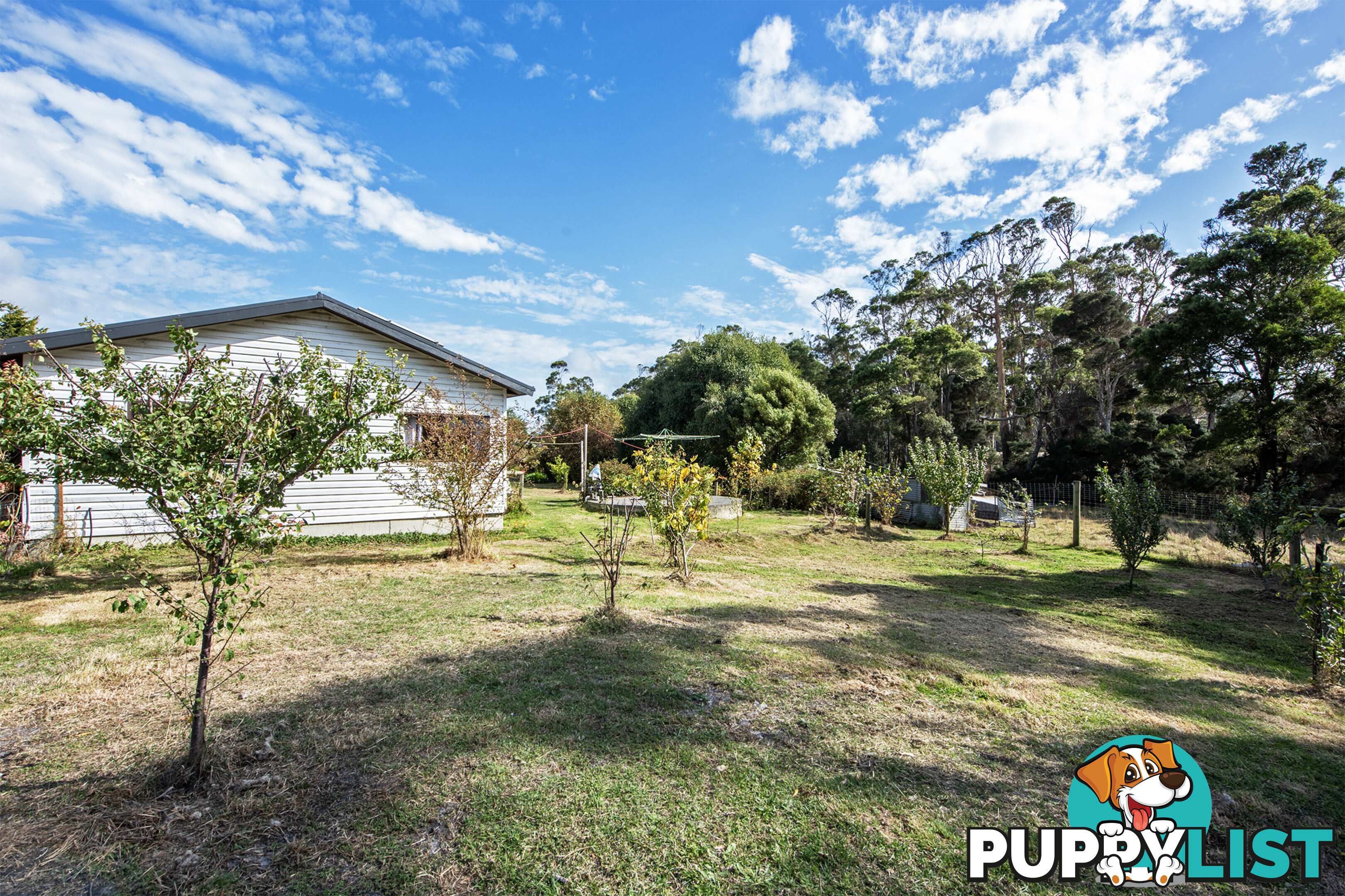 211 Back Line Road FOREST TAS 7330