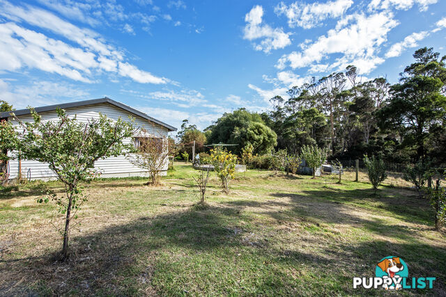 211 Back Line Road FOREST TAS 7330