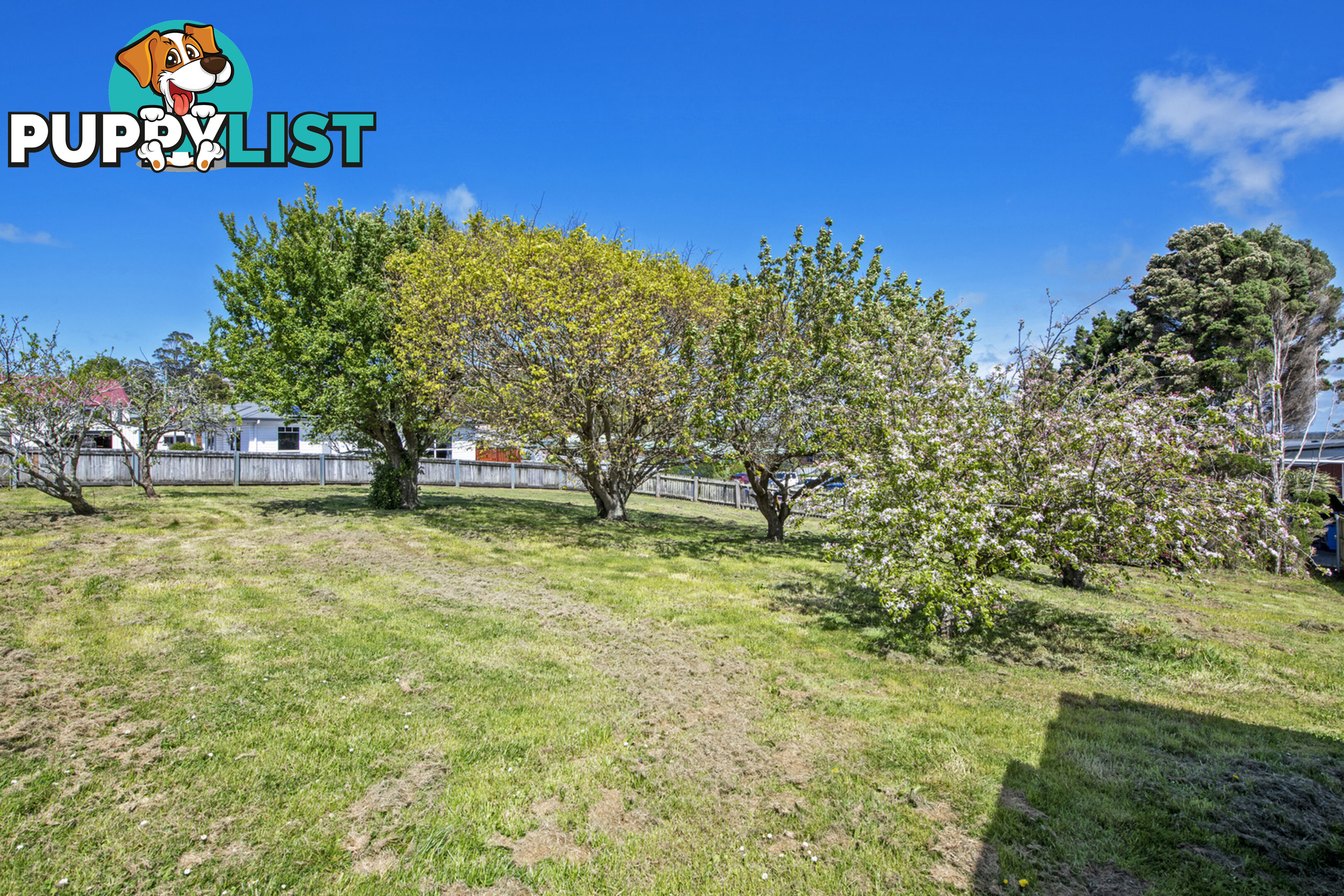 8 Goldie Street SMITHTON TAS 7330