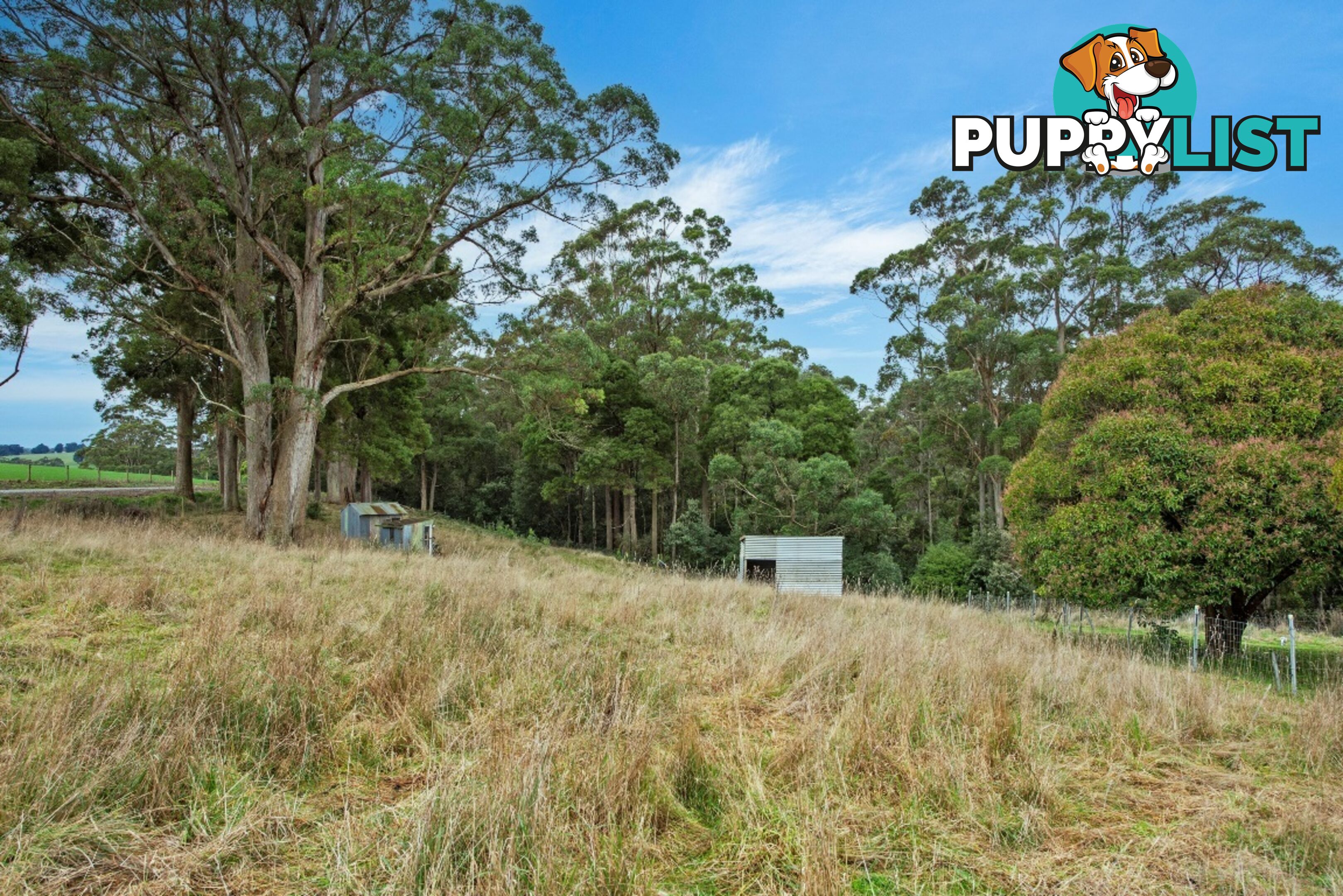 345 Mclachlans Road IRISHTOWN TAS 7330