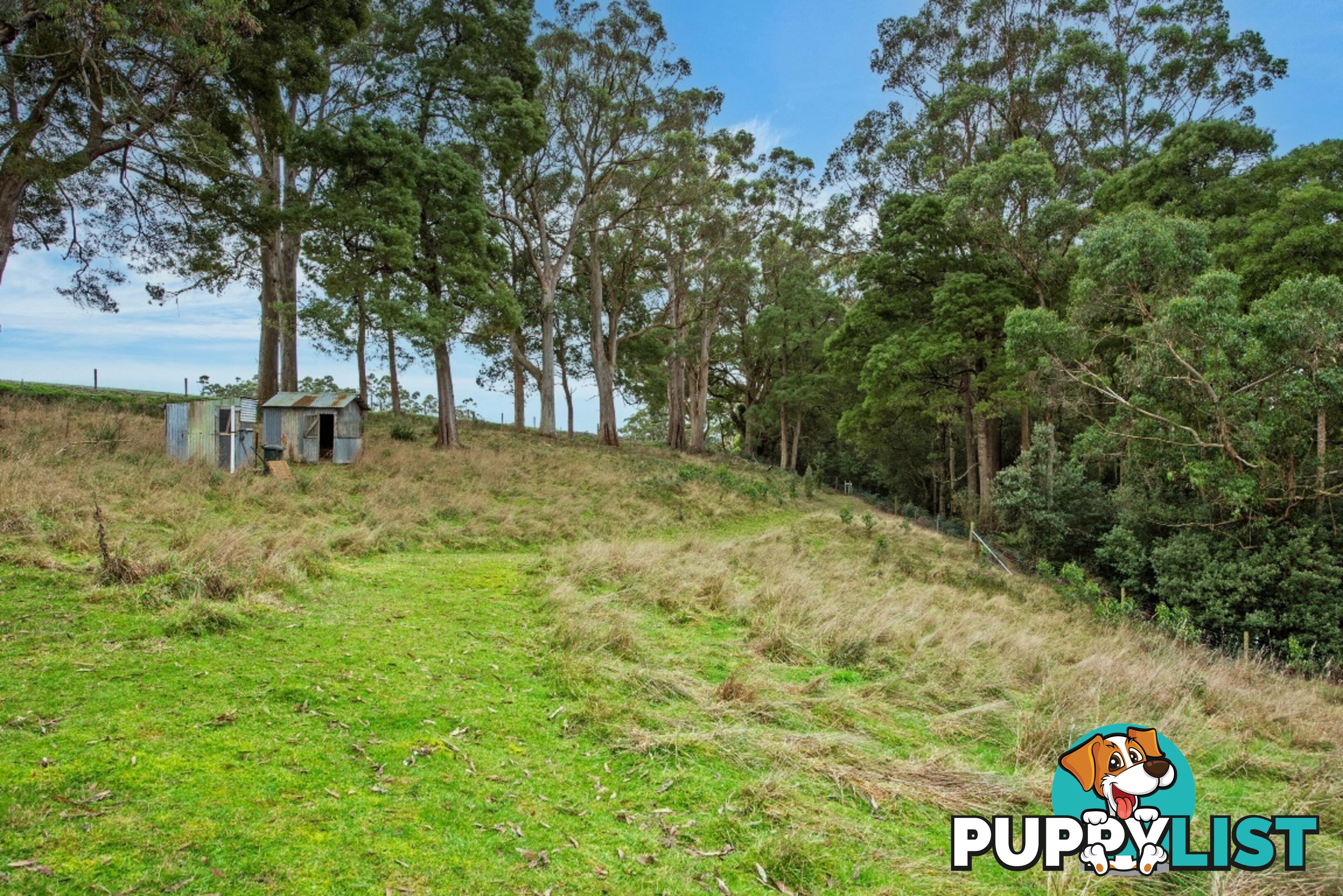 345 Mclachlans Road IRISHTOWN TAS 7330