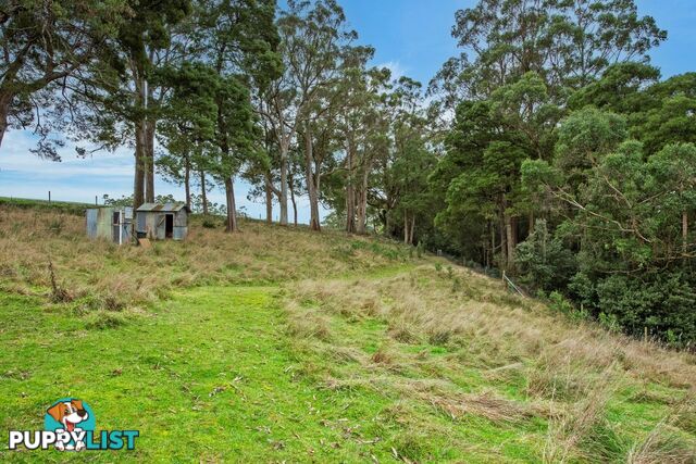 345 Mclachlans Road IRISHTOWN TAS 7330