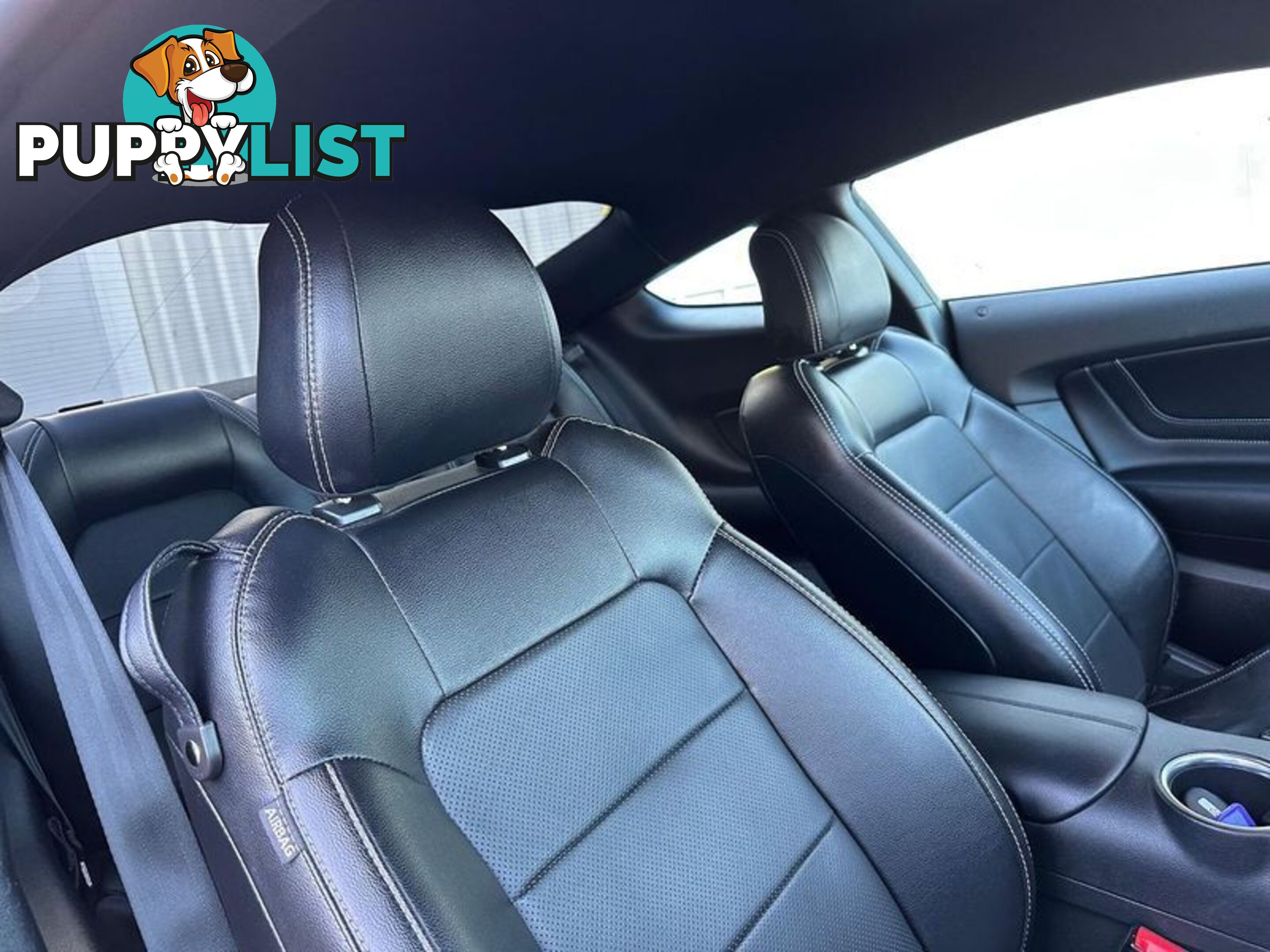 2021 Ford Mustang GT FN Coupe