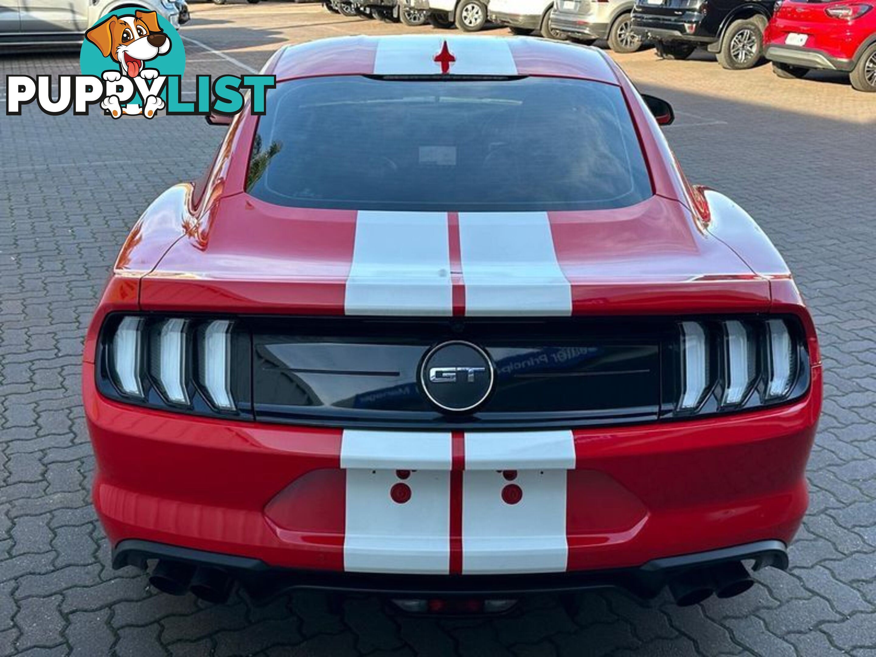 2021 Ford Mustang GT FN Coupe