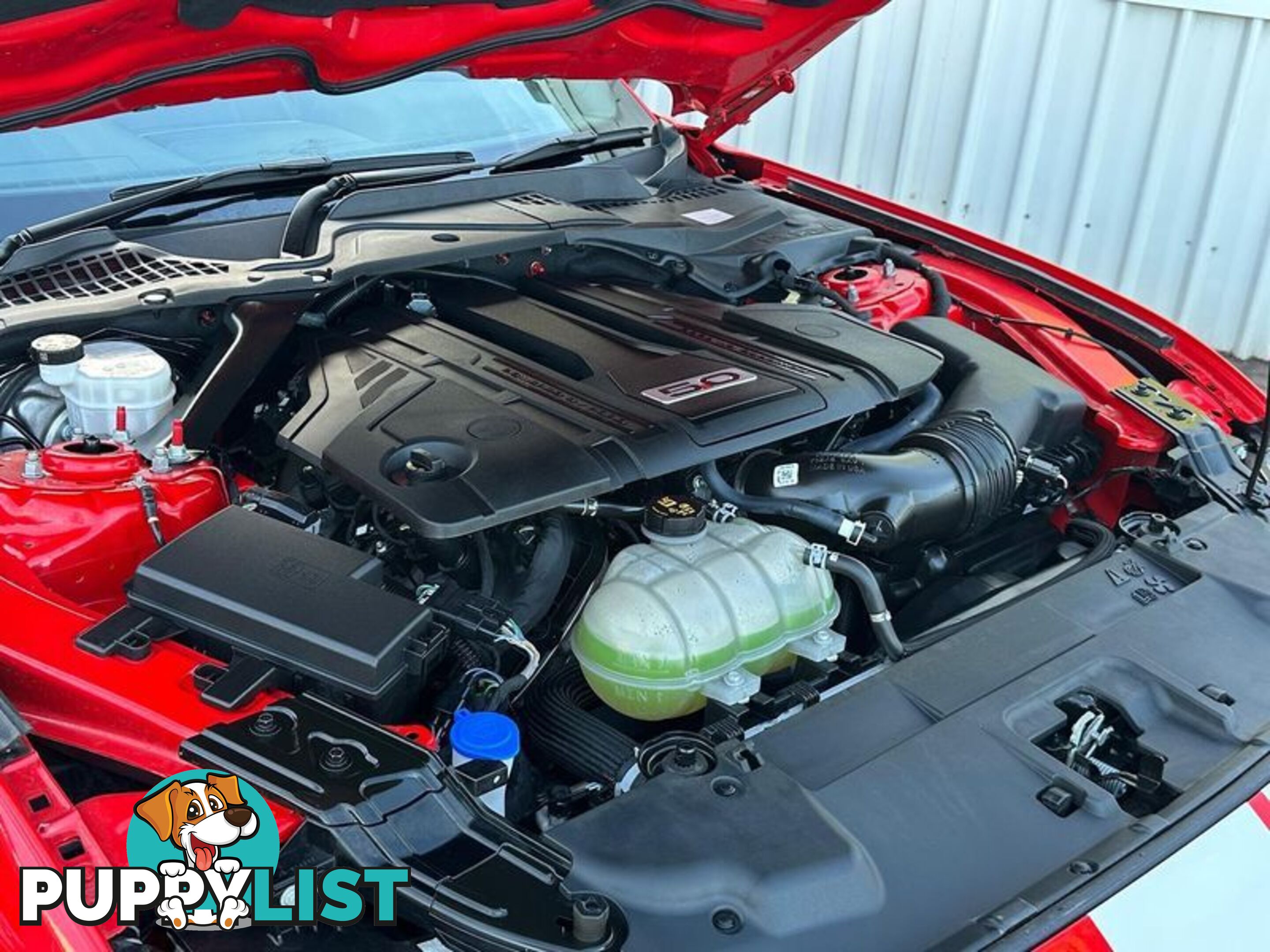 2021 Ford Mustang GT FN Coupe