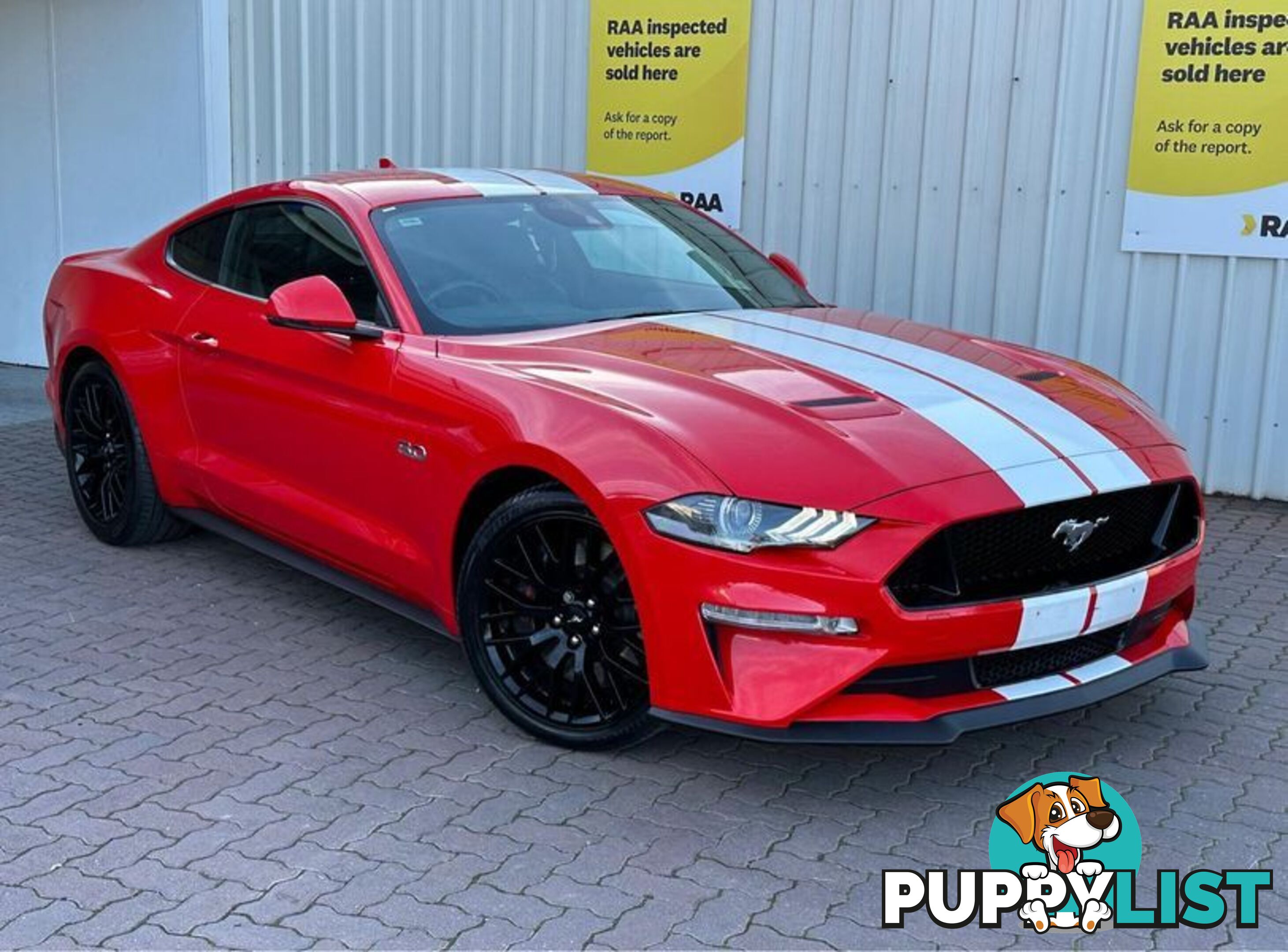 2021 Ford Mustang GT FN Coupe