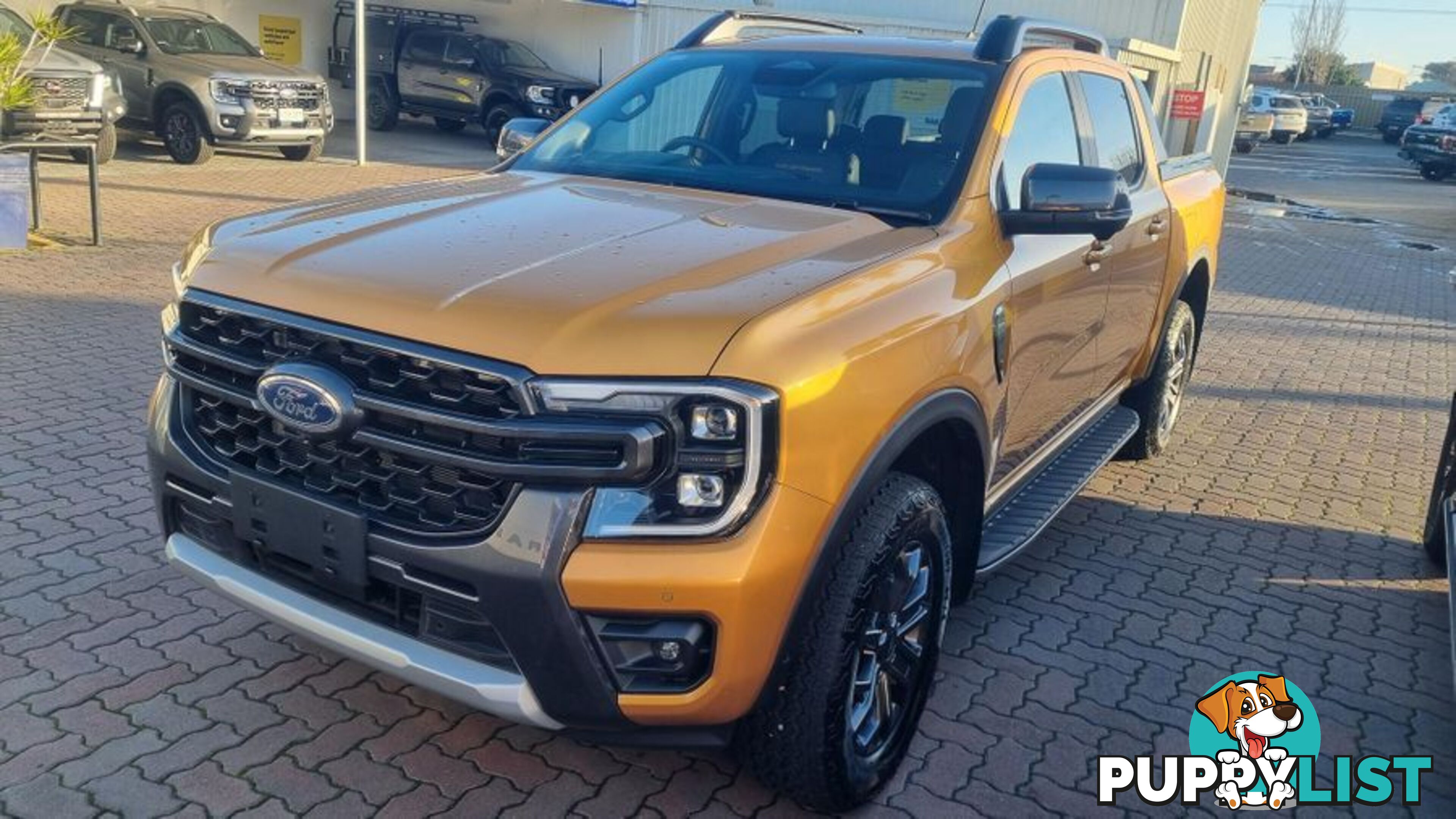 2024 Ford Ranger Wildtrak (No Series) Ute