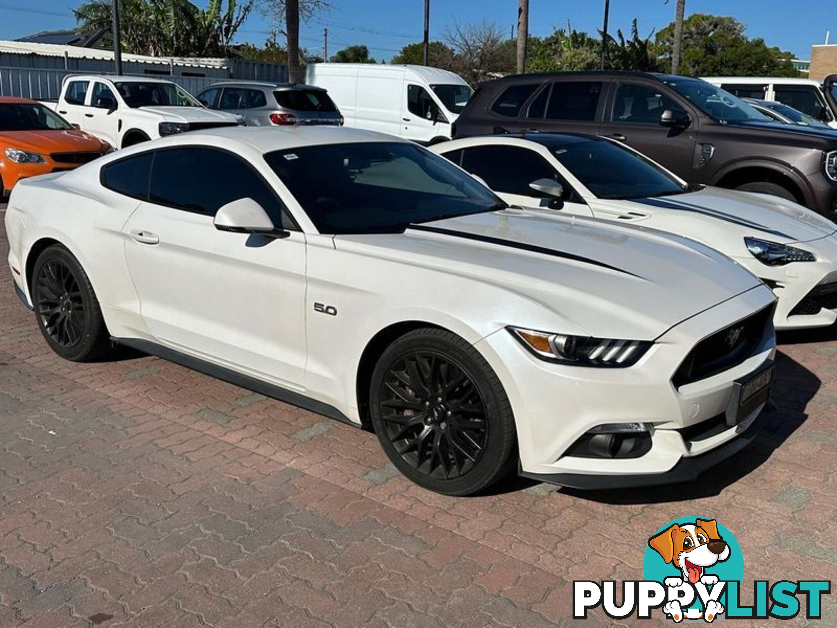 2017 Ford Mustang GT FM Coupe