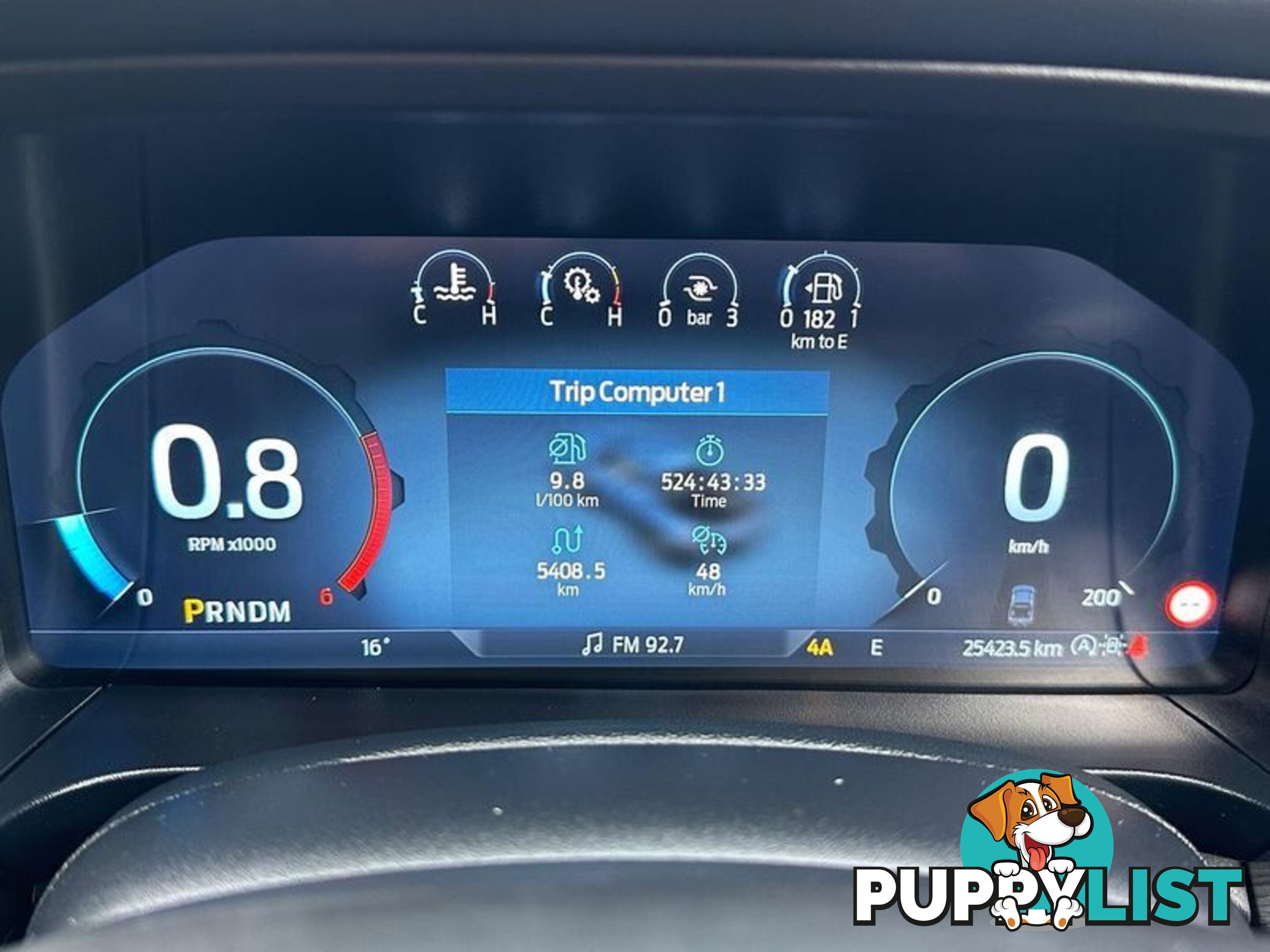 2024 Ford Ranger Platinum (No Series) Ute