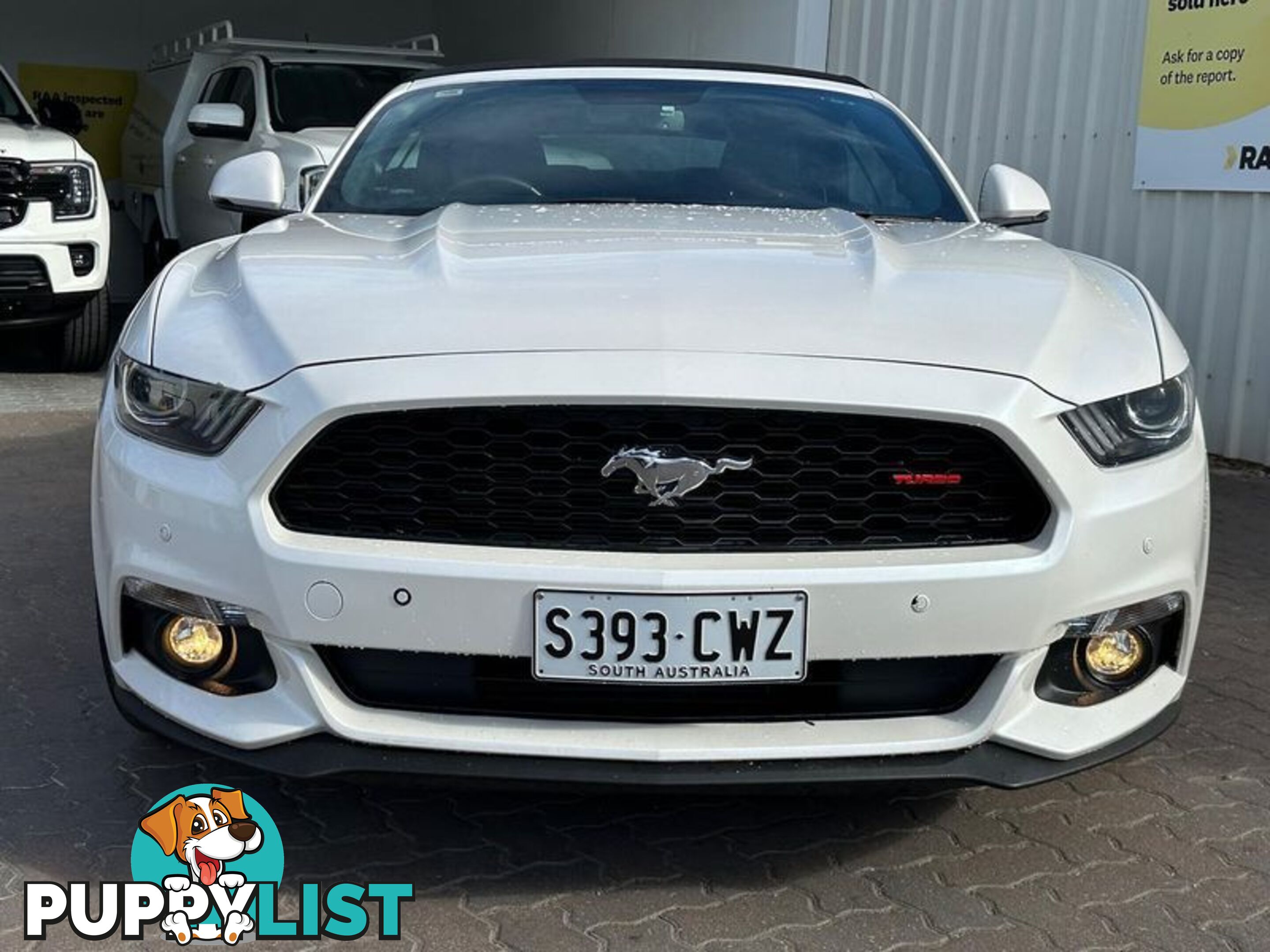 2016 Ford Mustang  FM Convertible