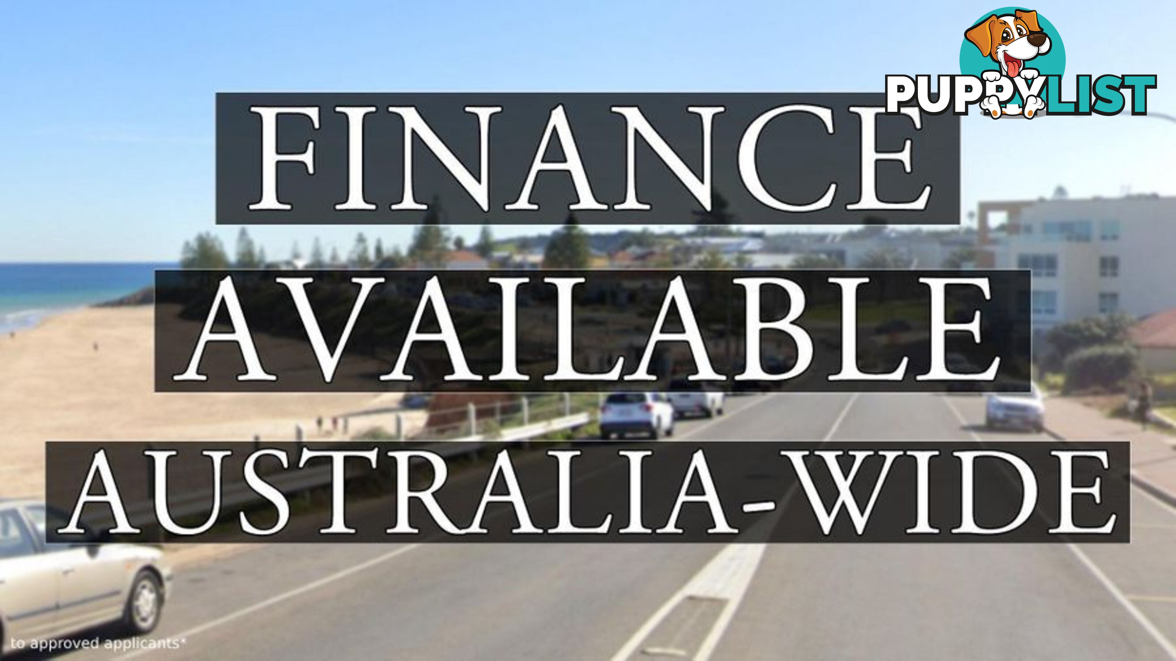 2019 Ford Ranger Wildtrak PX MkIII Ute