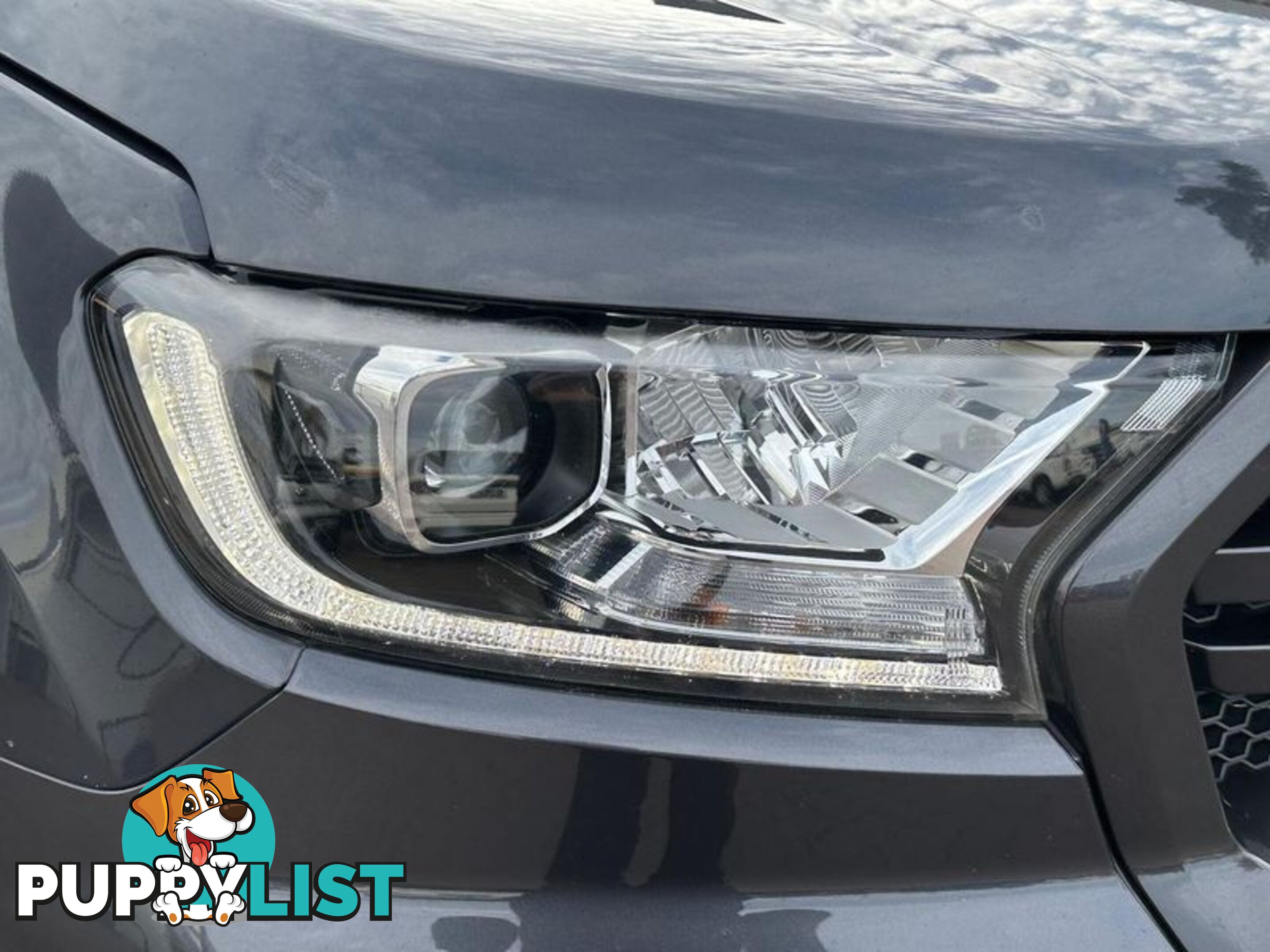 2019 Ford Ranger Wildtrak PX MkIII Ute