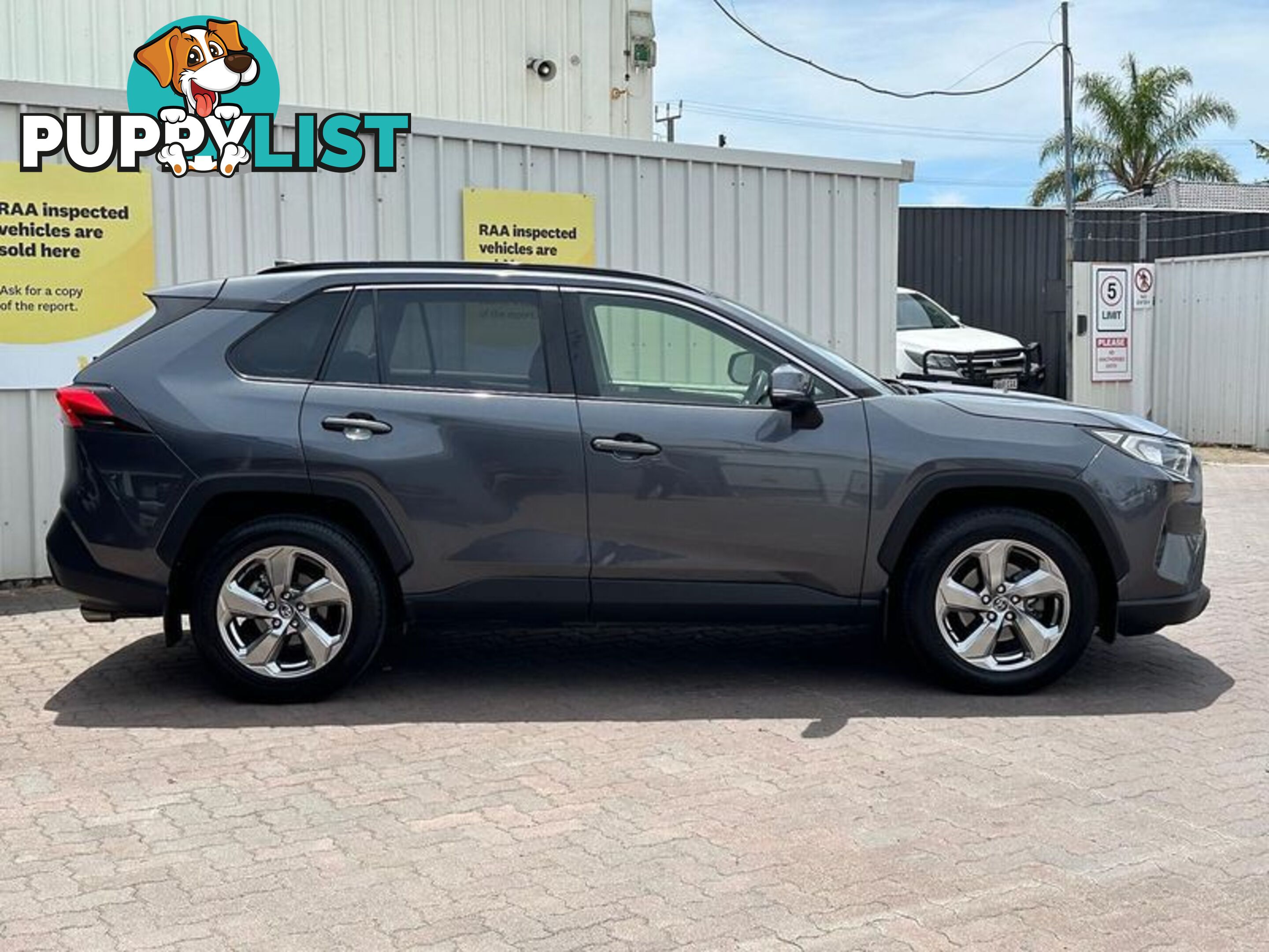 2019 Toyota RAV4 GXL MXAA52R SUV