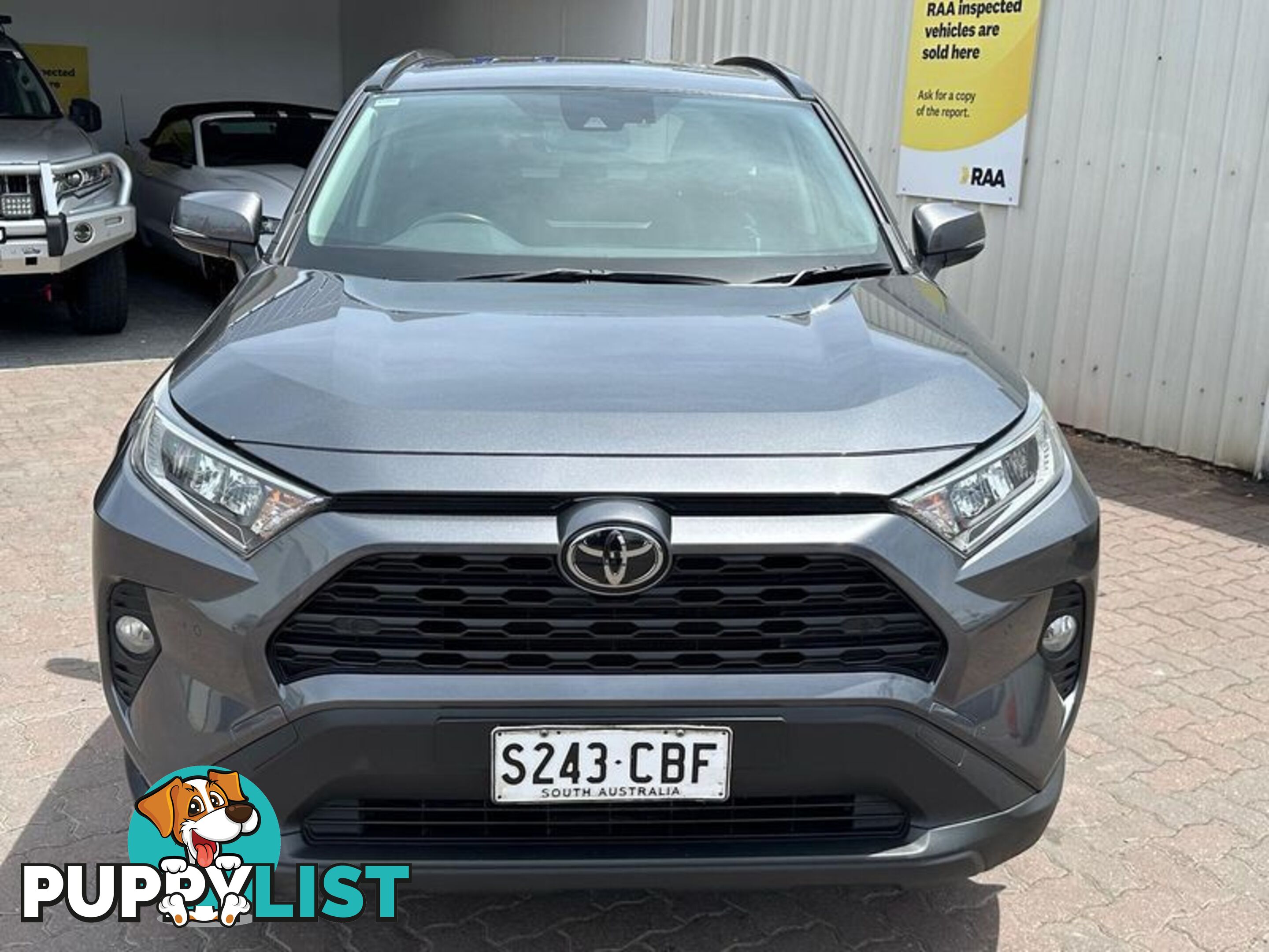 2019 Toyota RAV4 GXL MXAA52R SUV