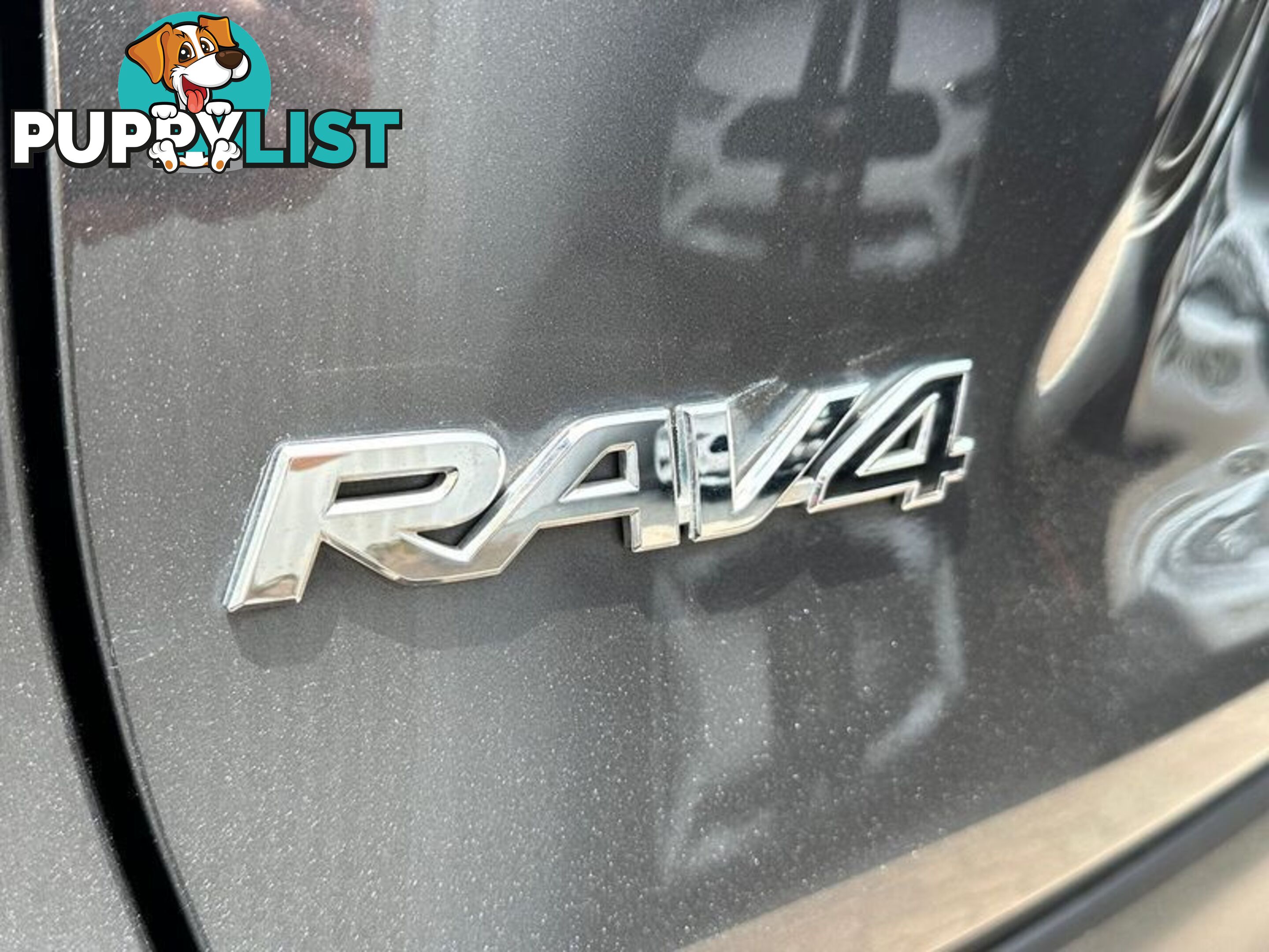 2019 Toyota RAV4 GXL MXAA52R SUV