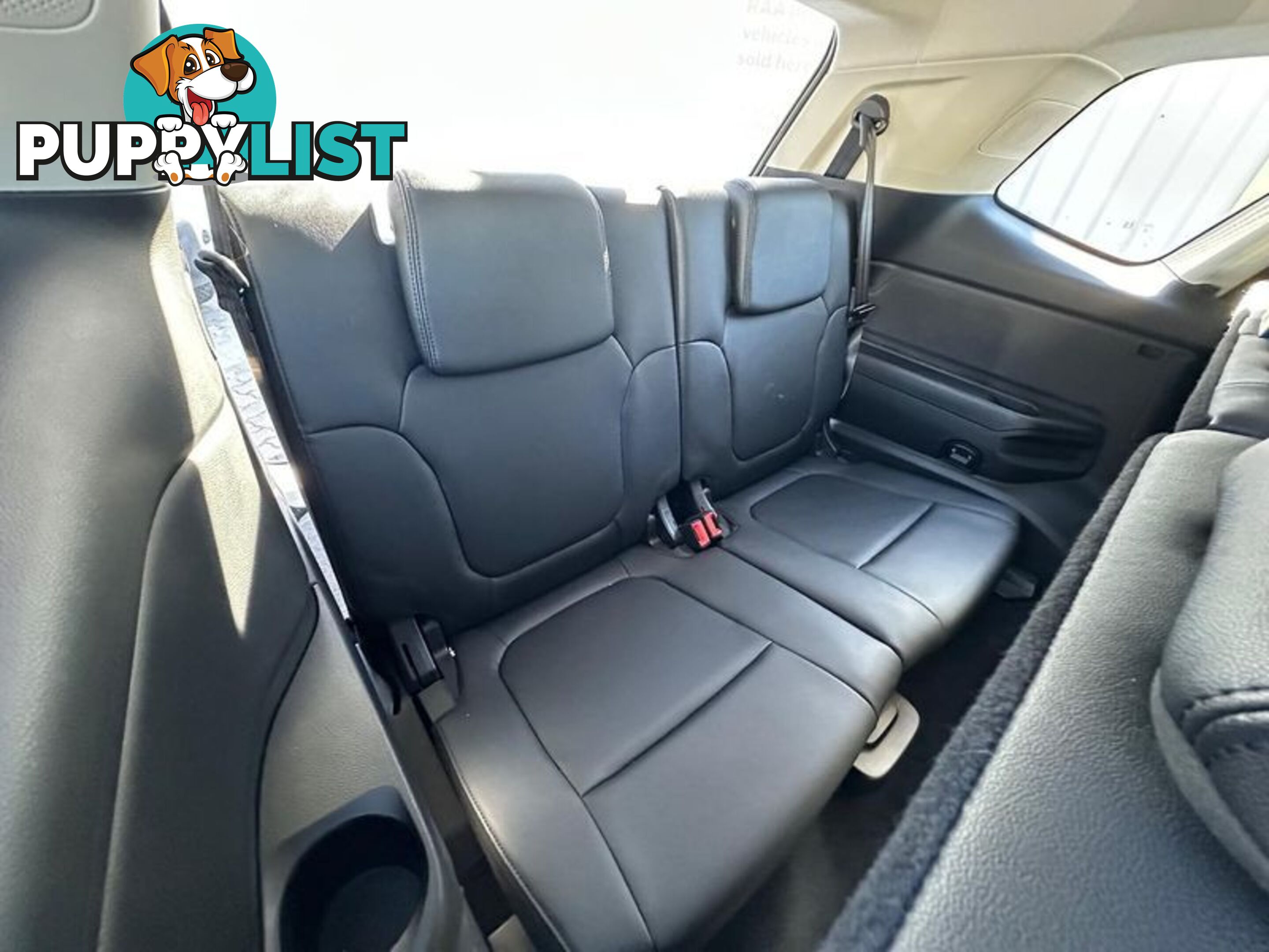 2024 Ford Everest Trend (No Series) SUV