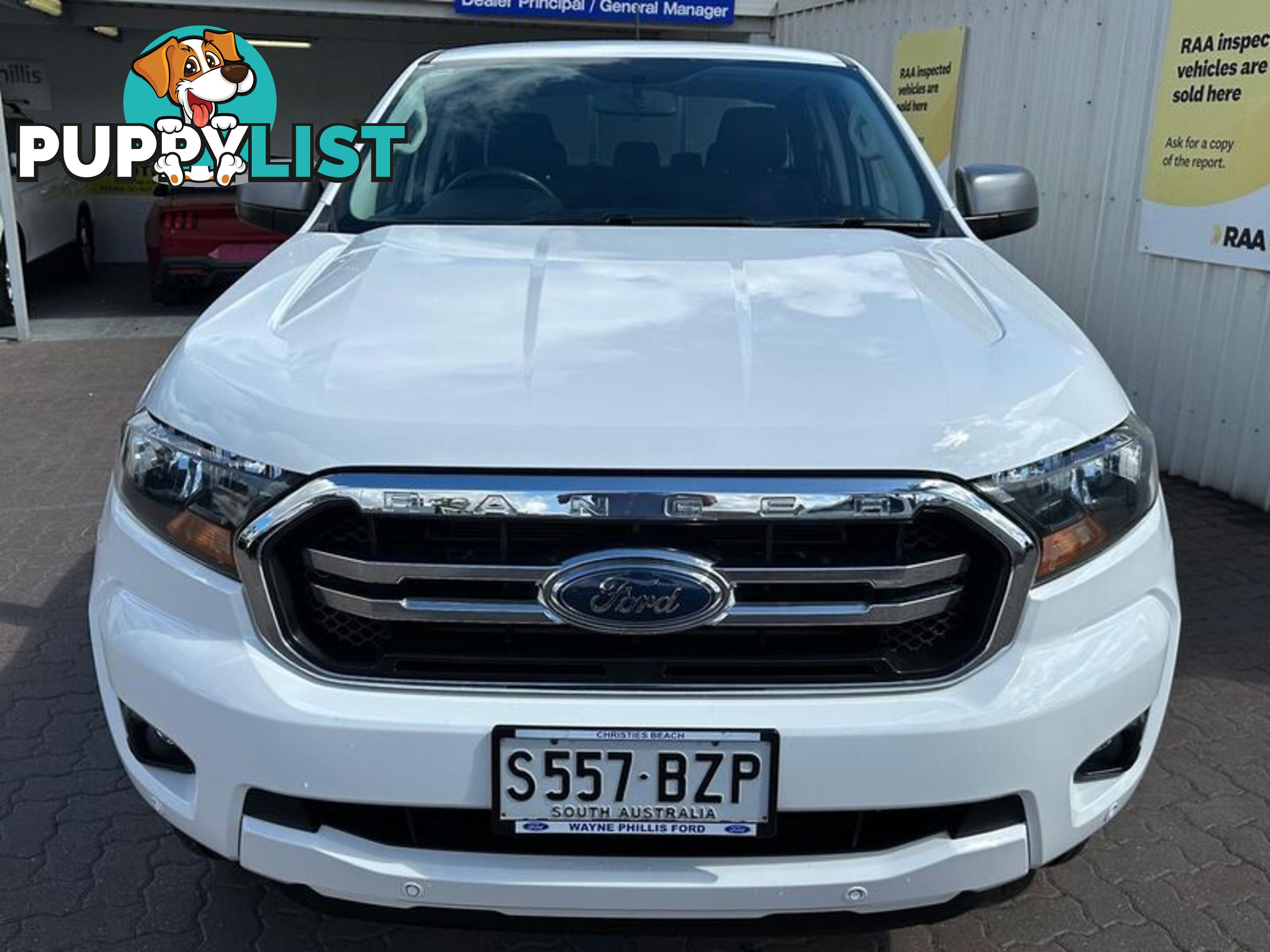 2019 Ford Ranger XLS PX MkIII Ute