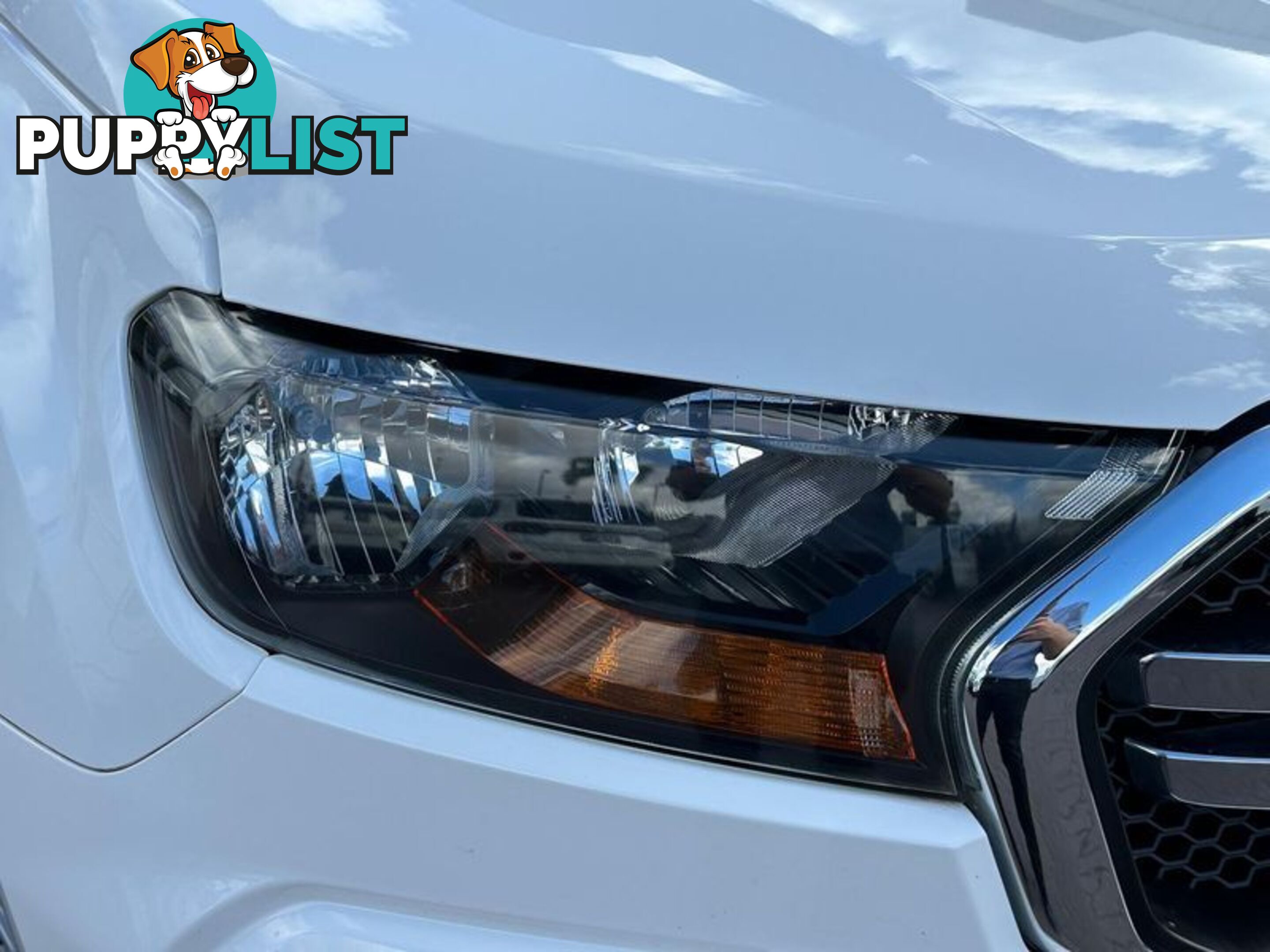 2019 Ford Ranger XLS PX MkIII Ute