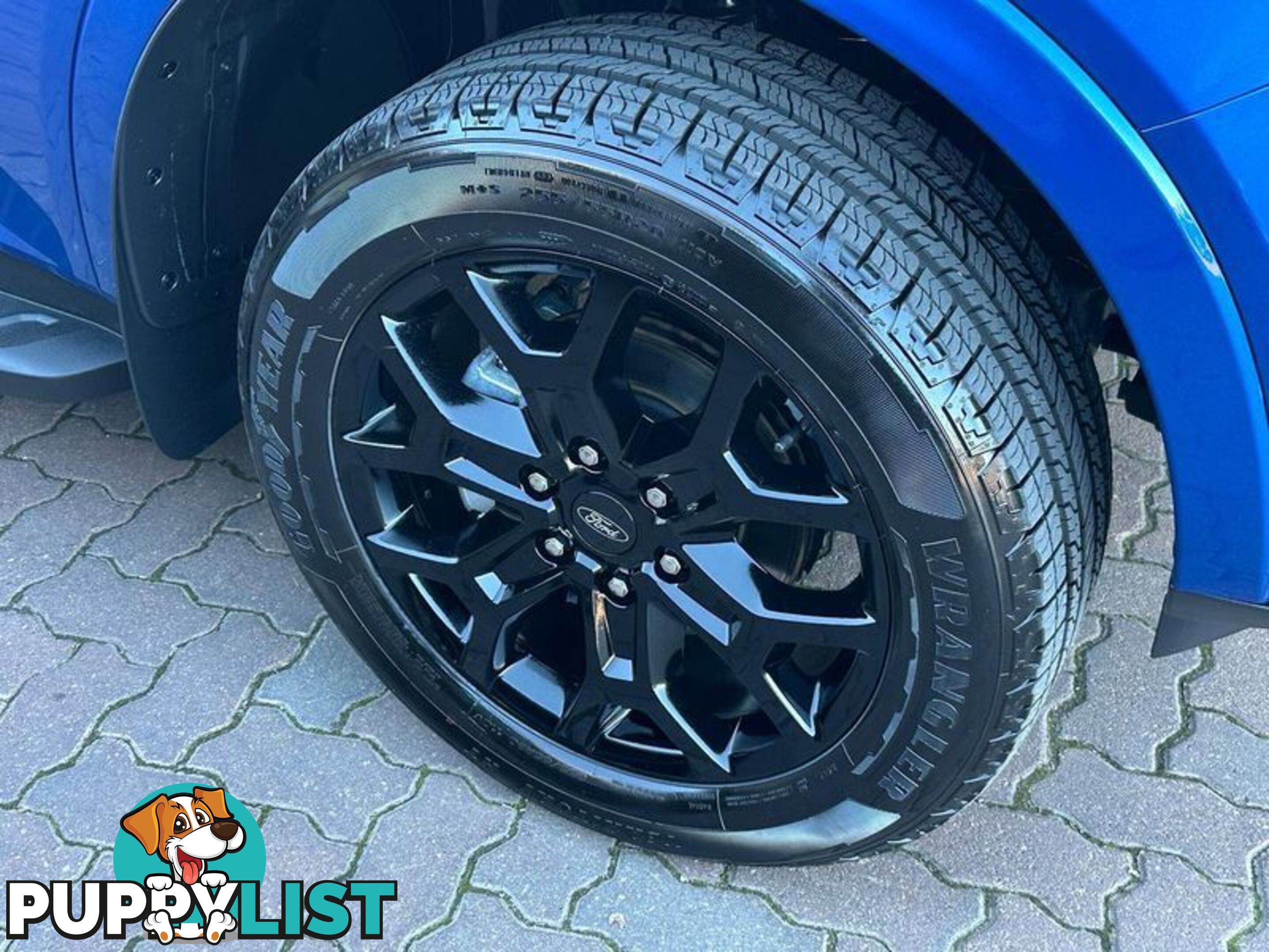 2024 Ford Everest Sport (No Series) SUV
