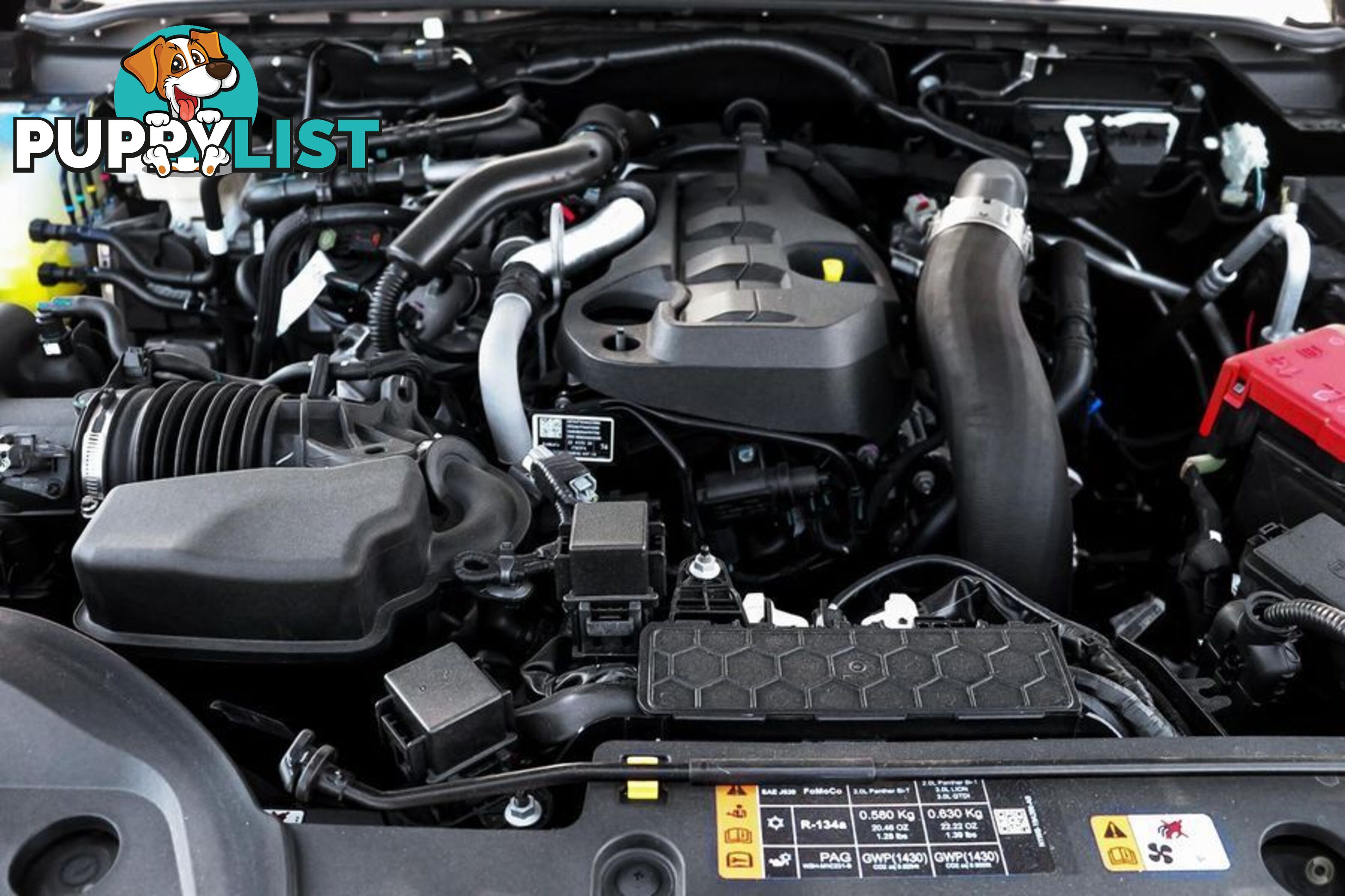 2024 Ford Ranger Tremor (No Series) Ute