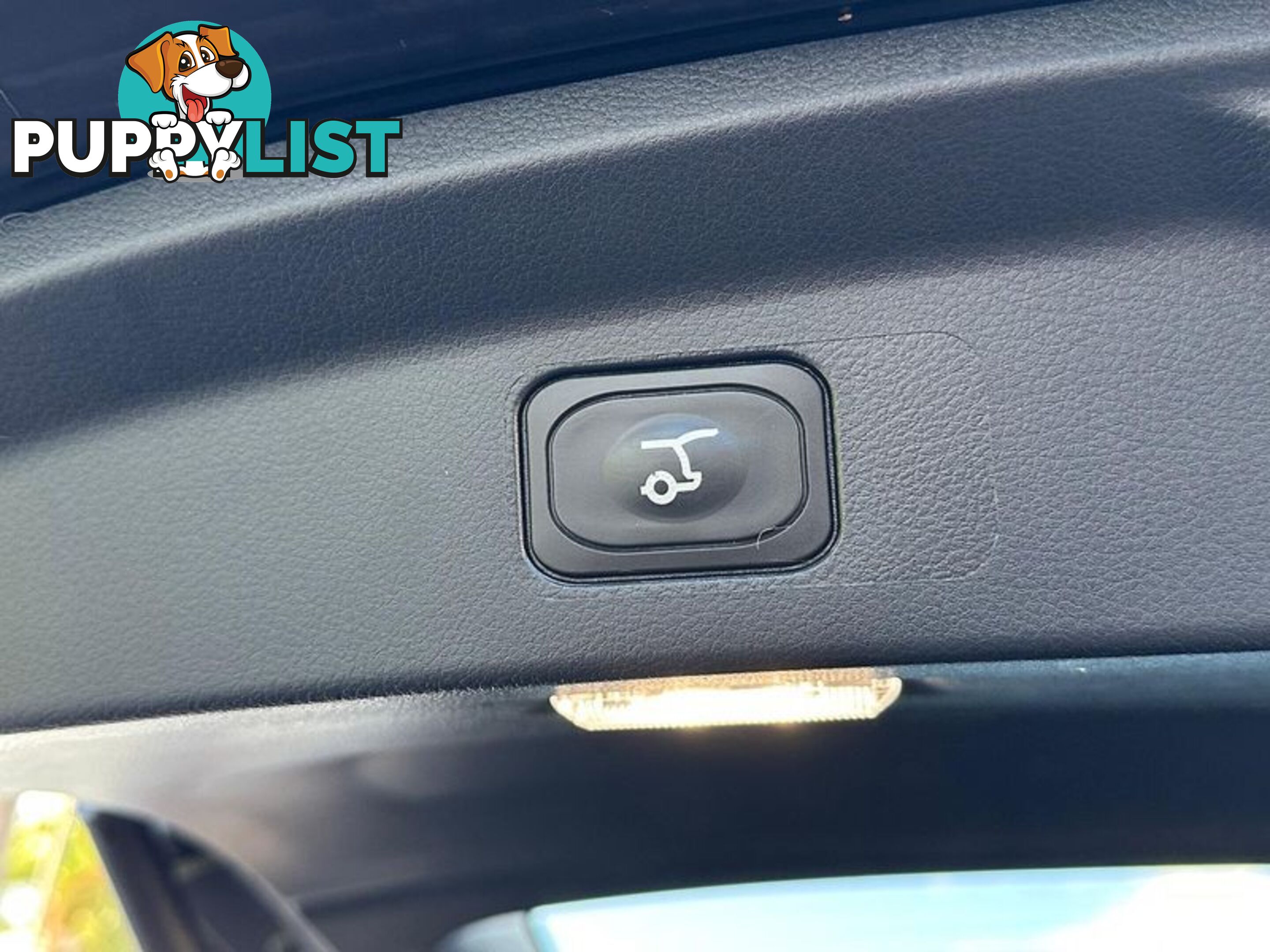 2024 Ford Everest Sport (No Series) SUV