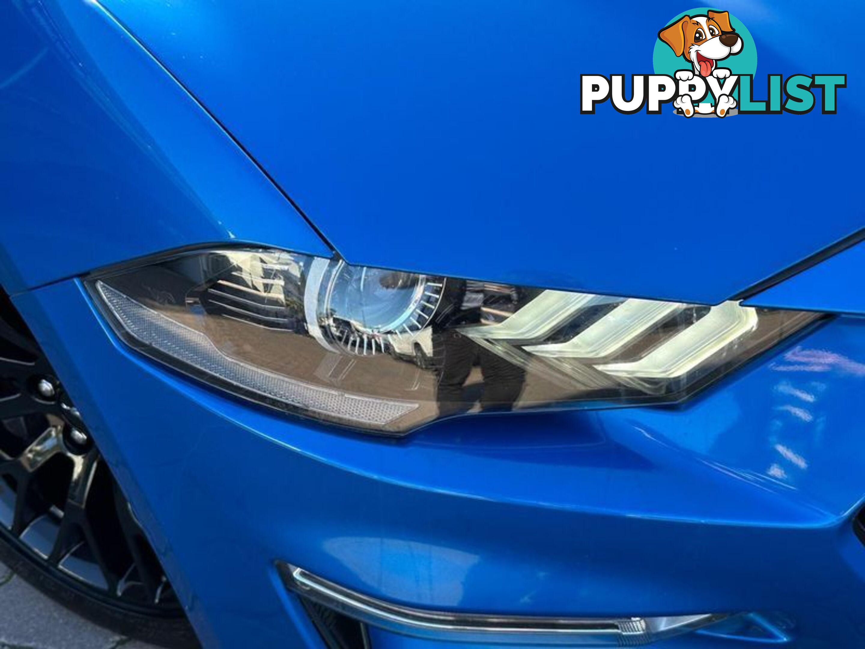 2019 Ford Mustang GT FN Coupe