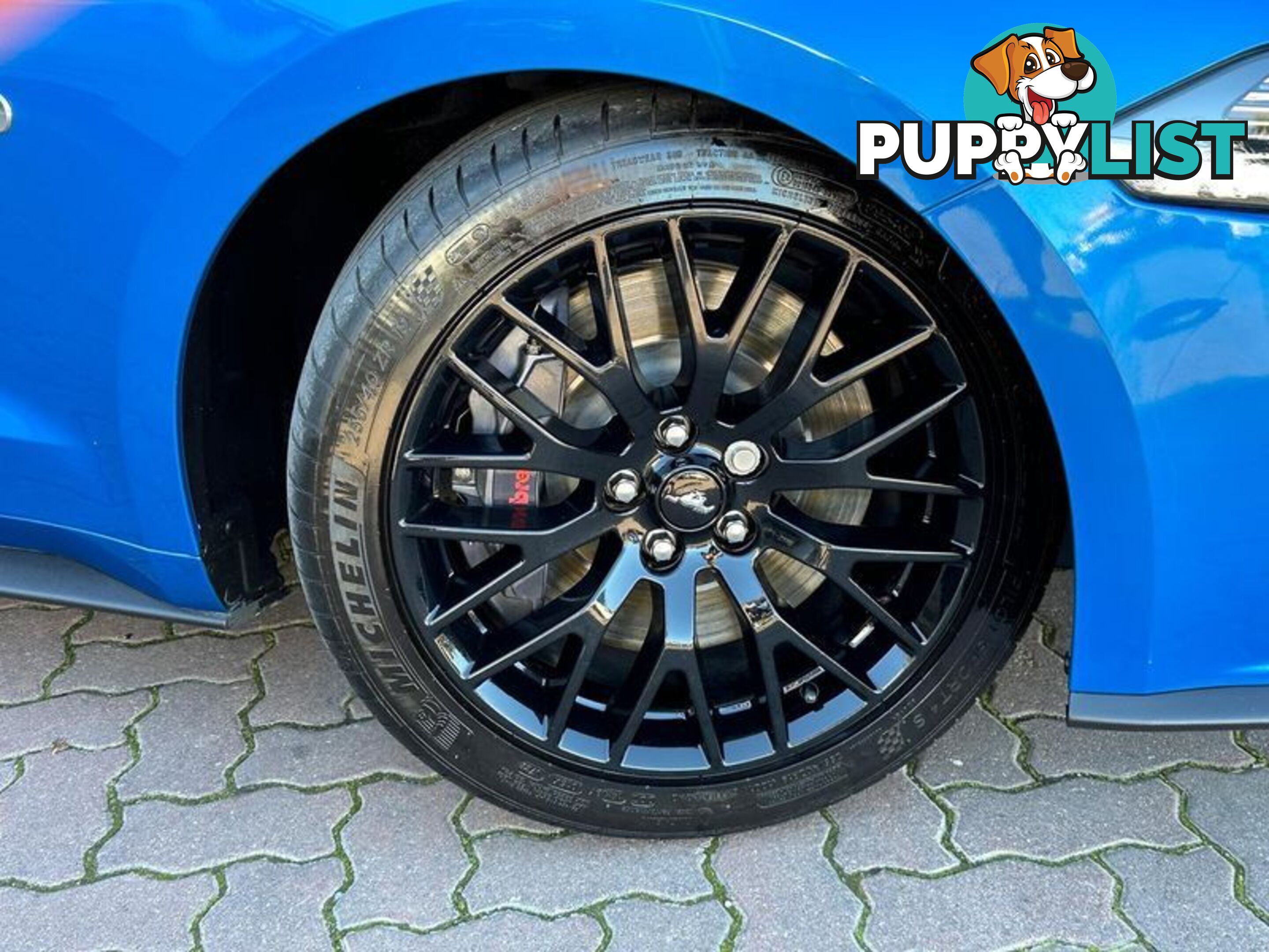 2019 Ford Mustang GT FN Coupe