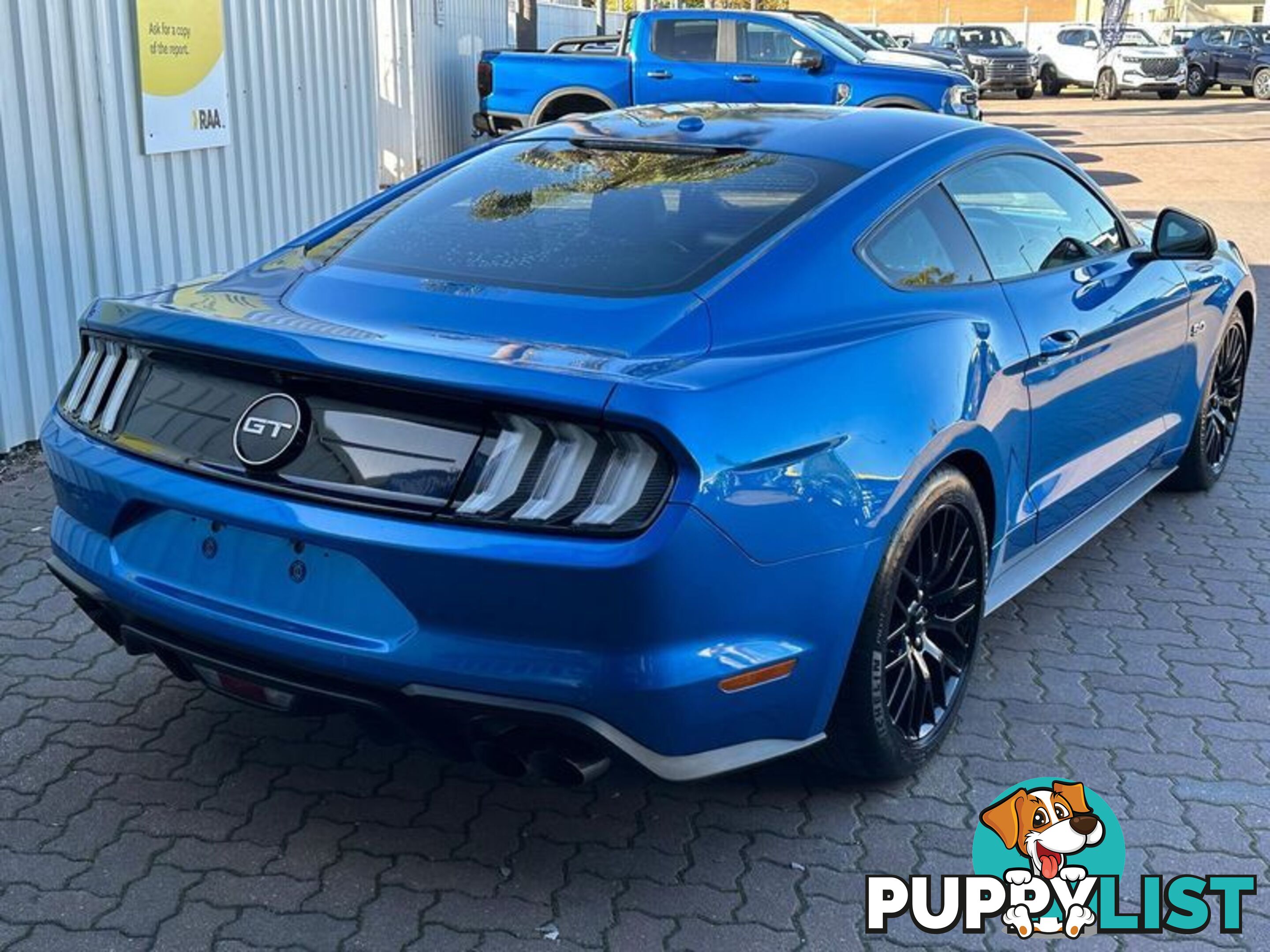 2019 Ford Mustang GT FN Coupe