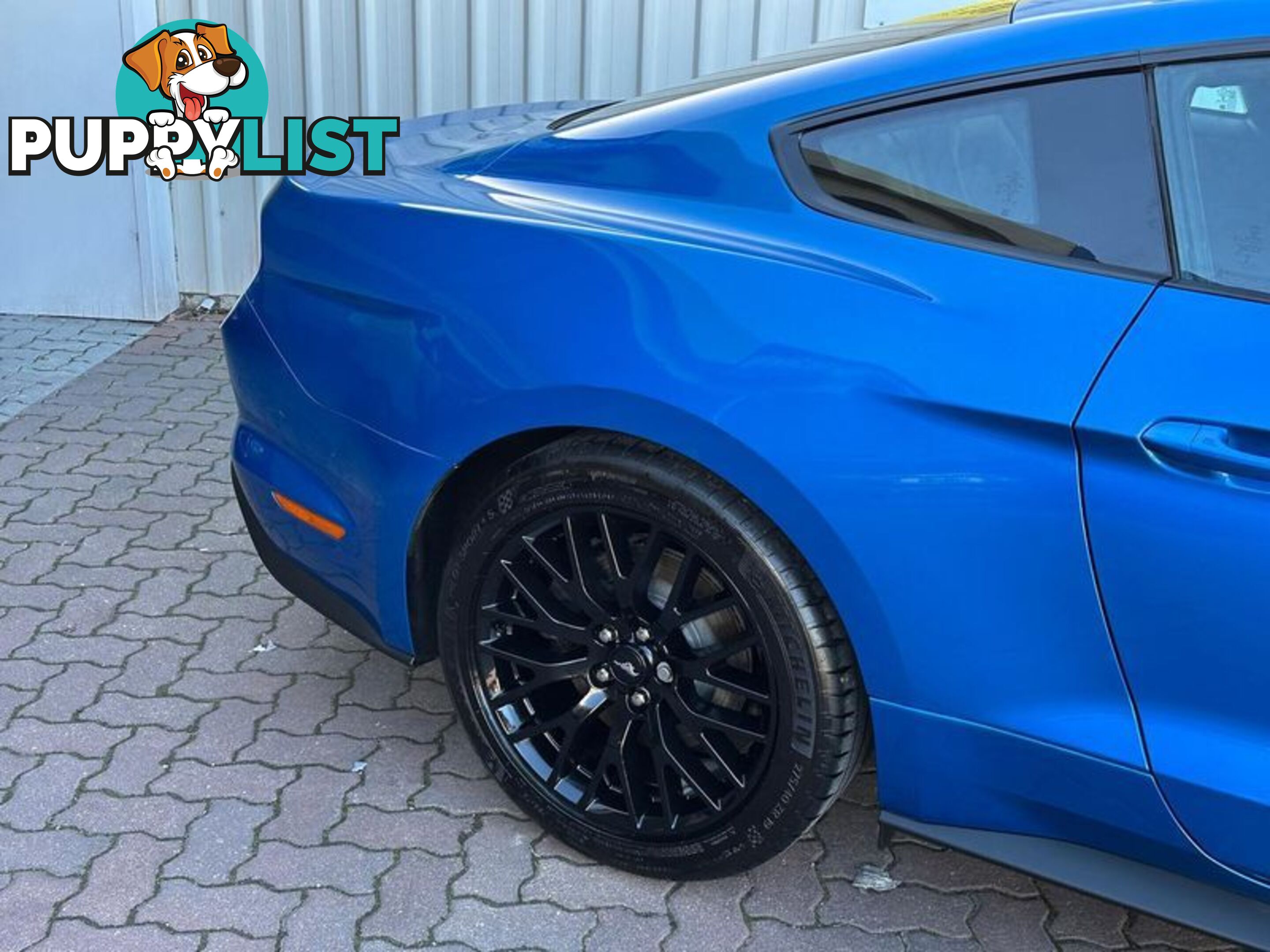 2019 Ford Mustang GT FN Coupe