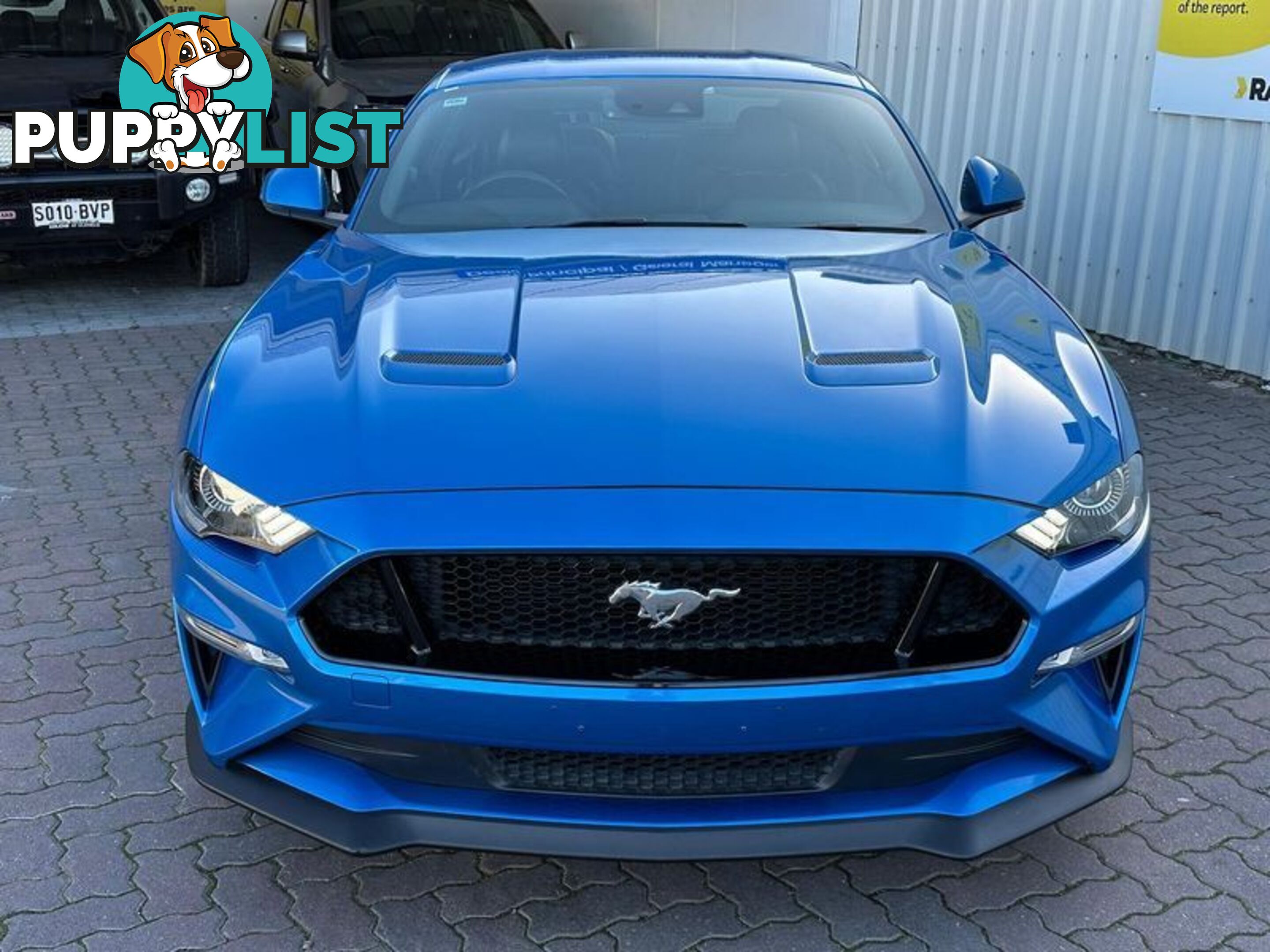 2019 Ford Mustang GT FN Coupe