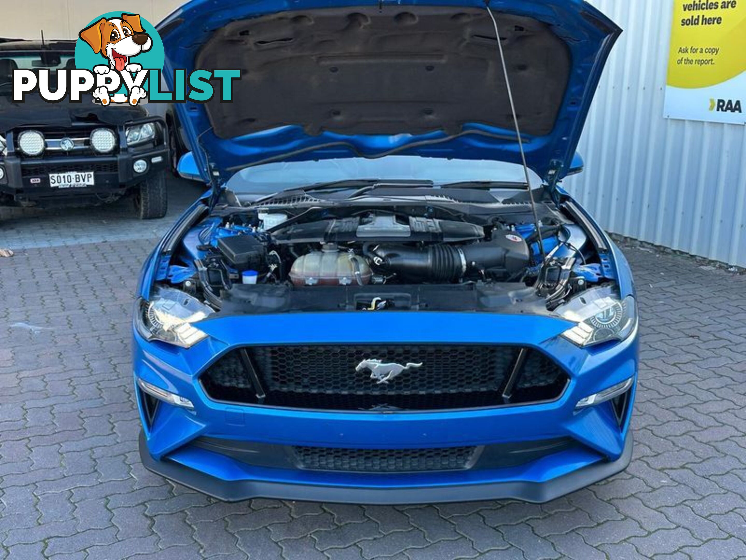 2019 Ford Mustang GT FN Coupe