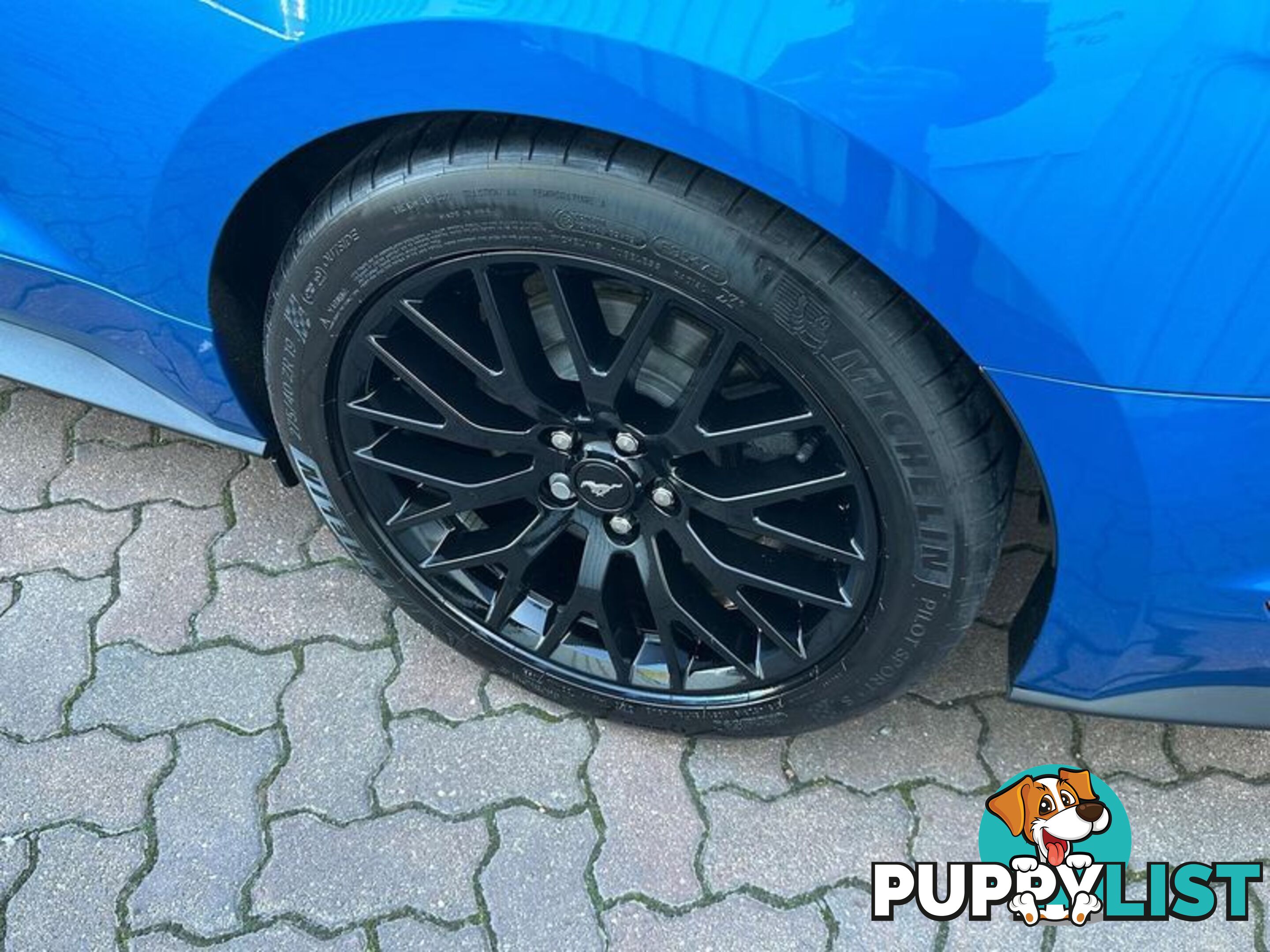 2019 Ford Mustang GT FN Coupe