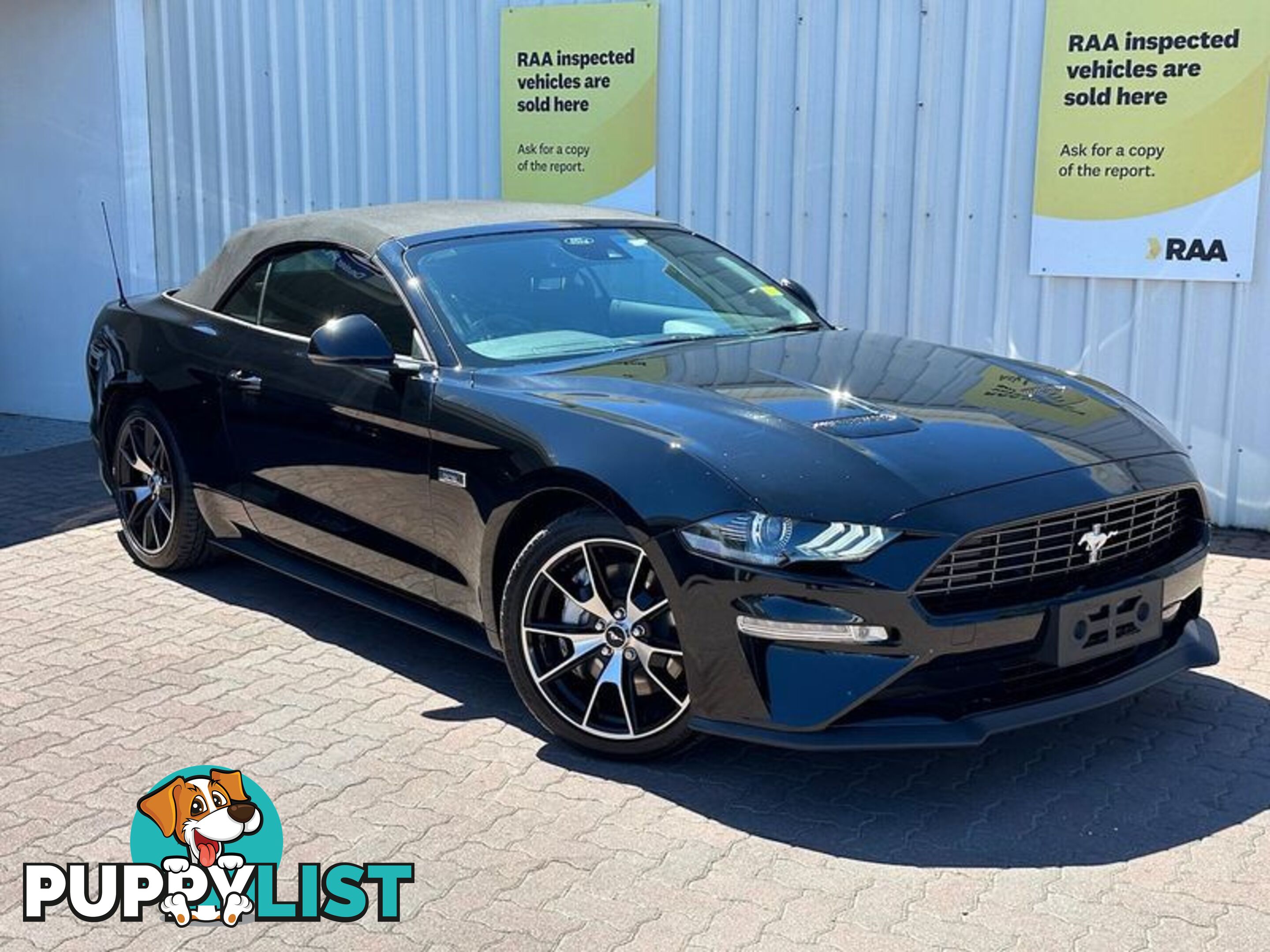 2020 Ford Mustang High Performance FN Convertible