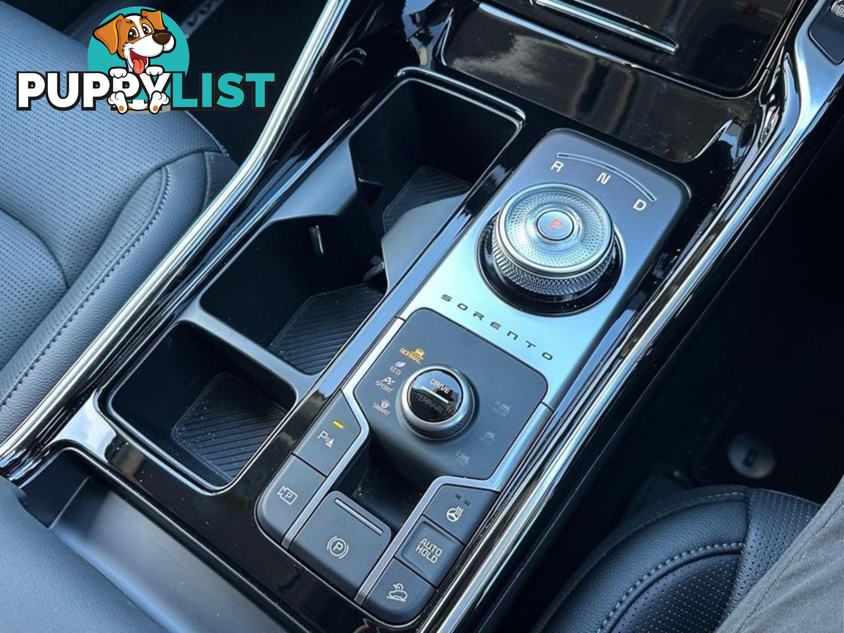 2024 Kia Sorento Sport+ MQ4 PE SUV
