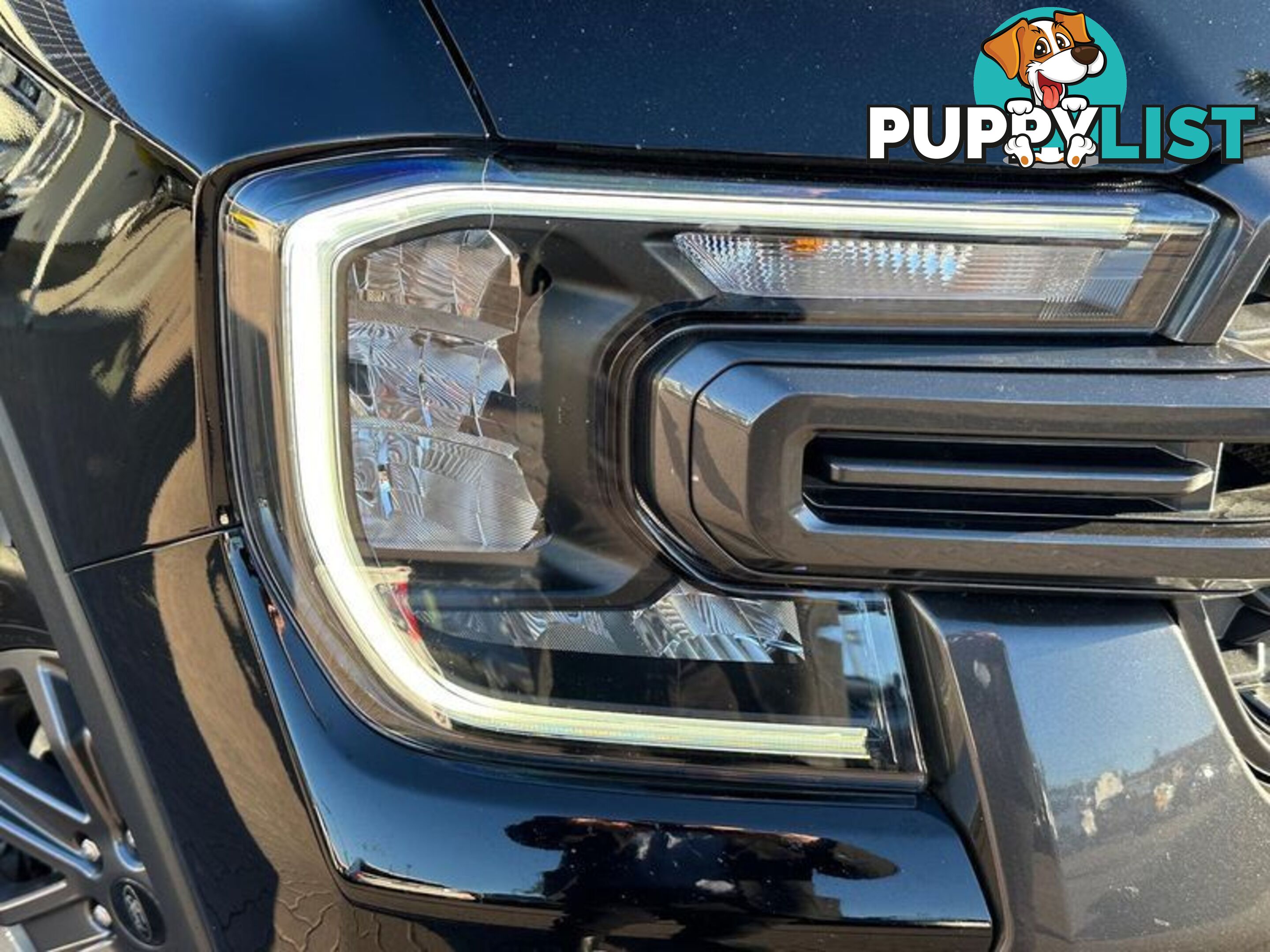 2022 Ford Ranger Wildtrak (No Series) Ute