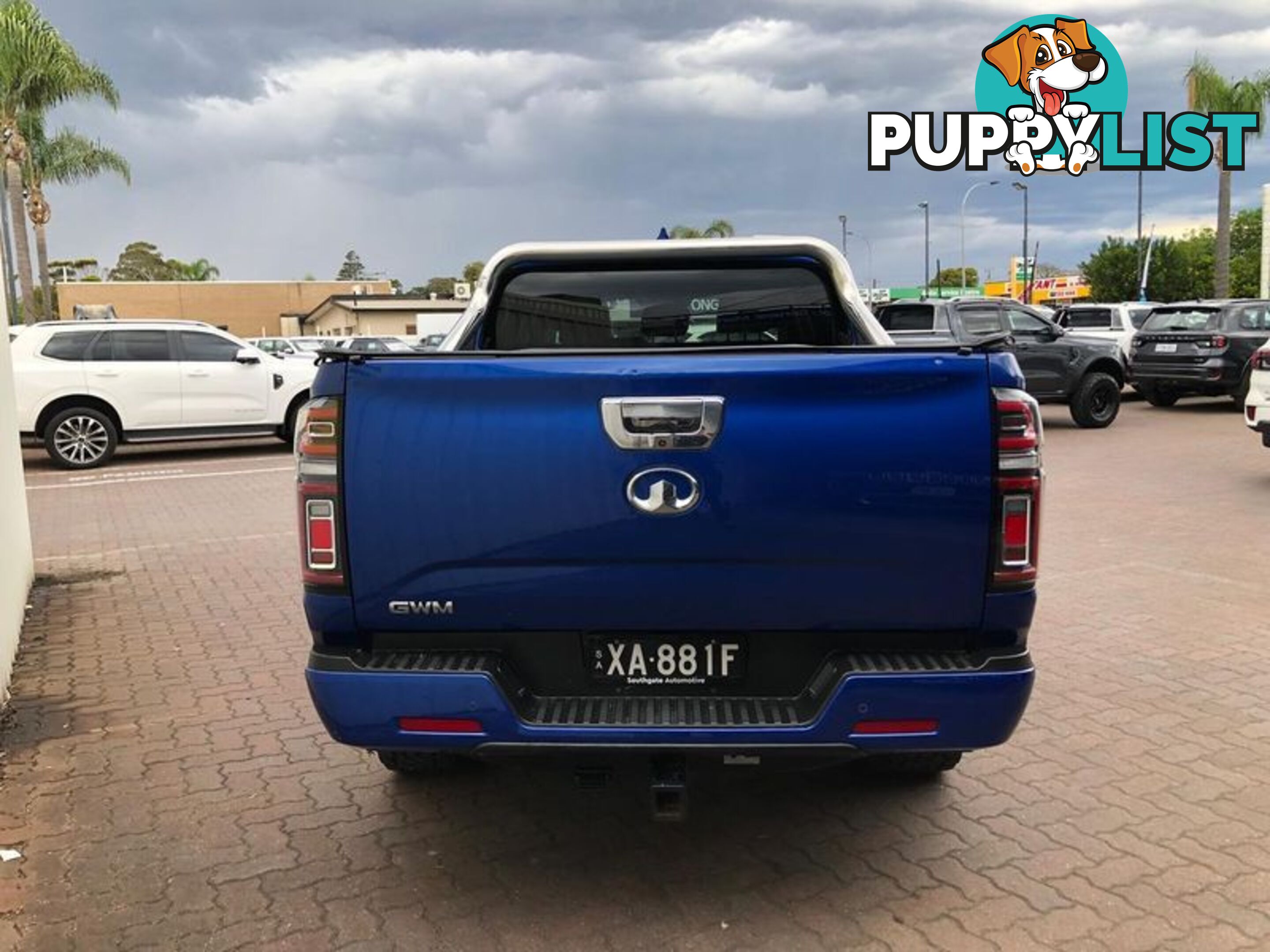 2021 GWM Ute Cannon-L NPW Ute